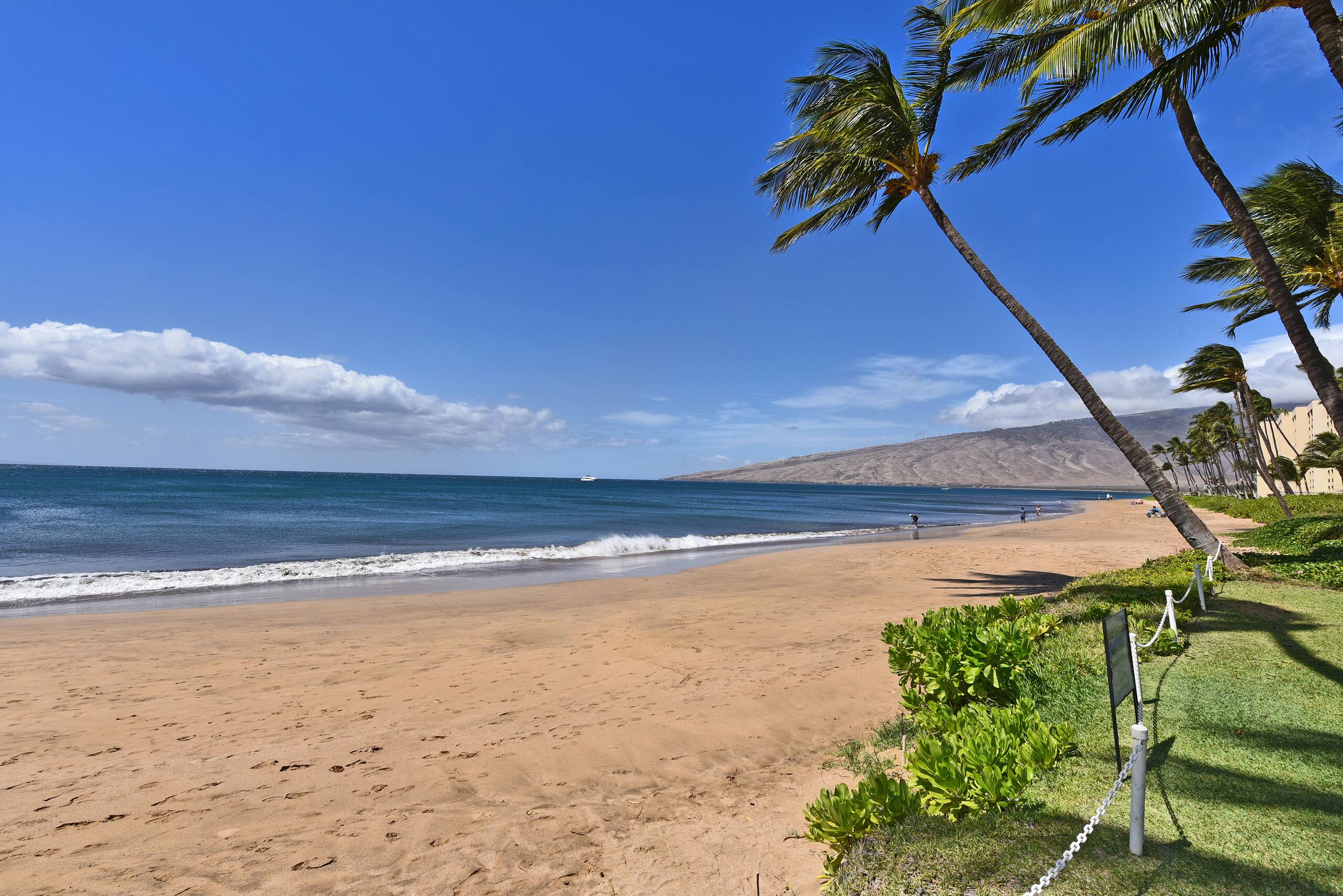Condo in Kihei · ★4.76 · 1 bedroom · 2 beds · 2 baths - Image 43