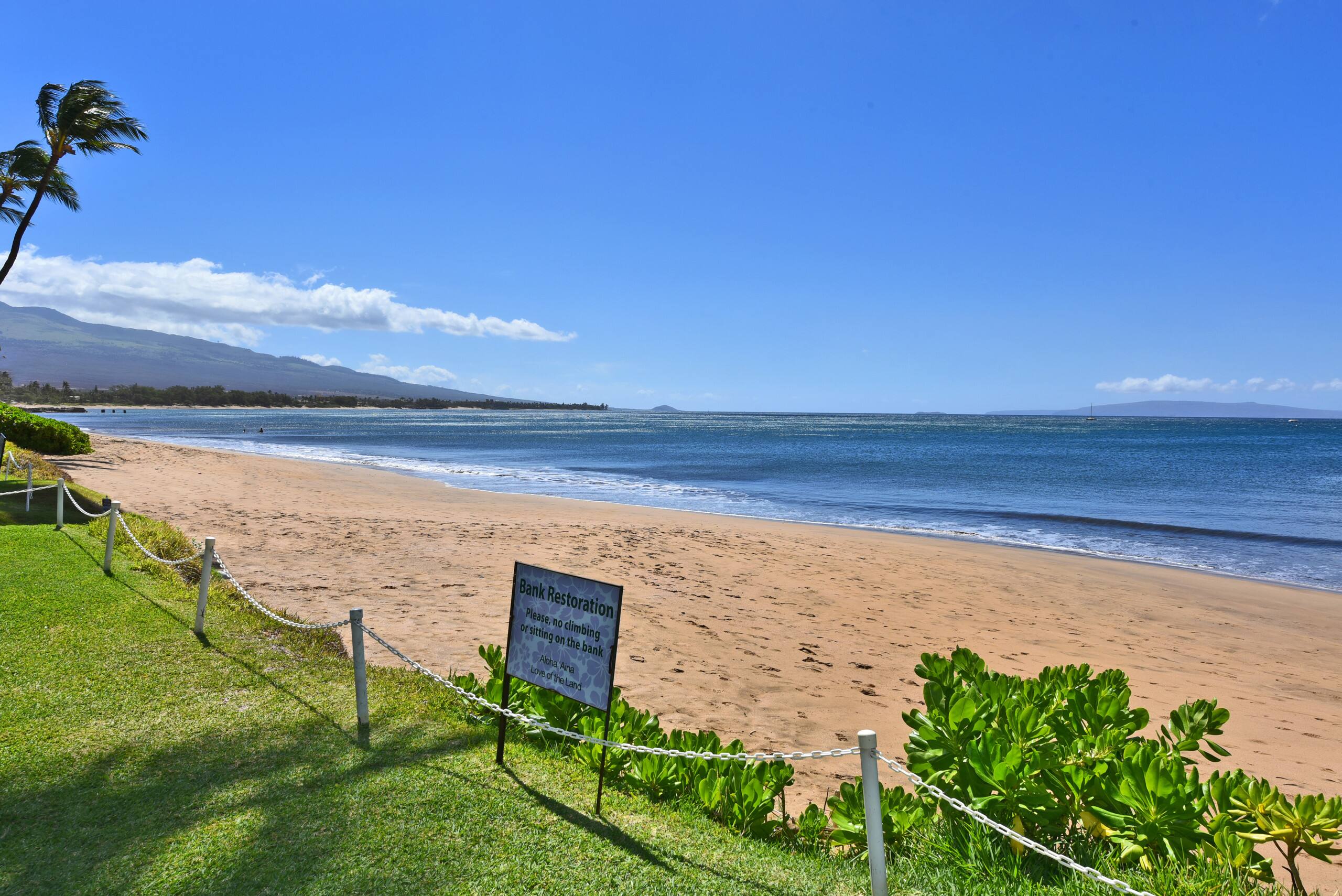 Condo in Kihei · ★4.76 · 1 bedroom · 2 beds · 2 baths - Image 41