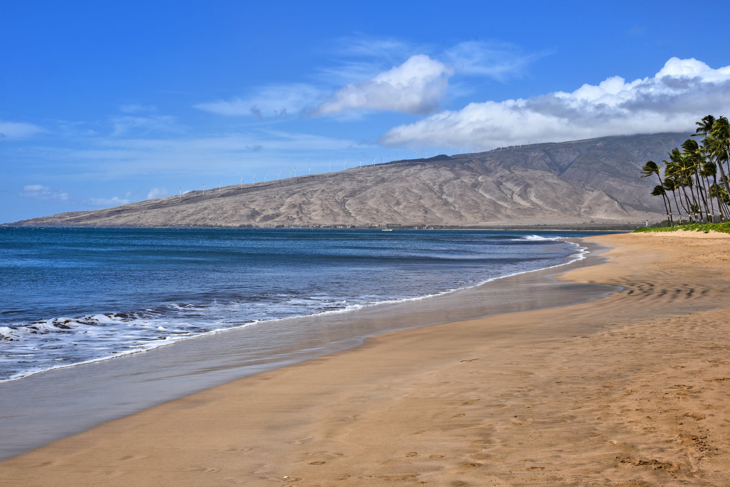 Condo in Kihei · ★4.76 · 1 bedroom · 2 beds · 2 baths - Image 44