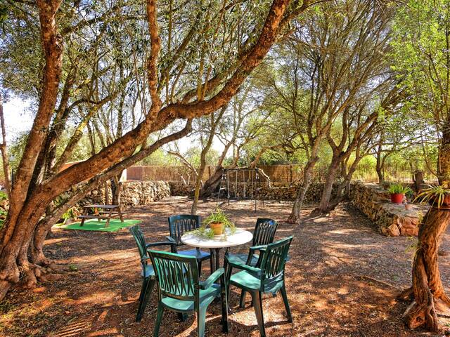 Son Garbi gallery image 4