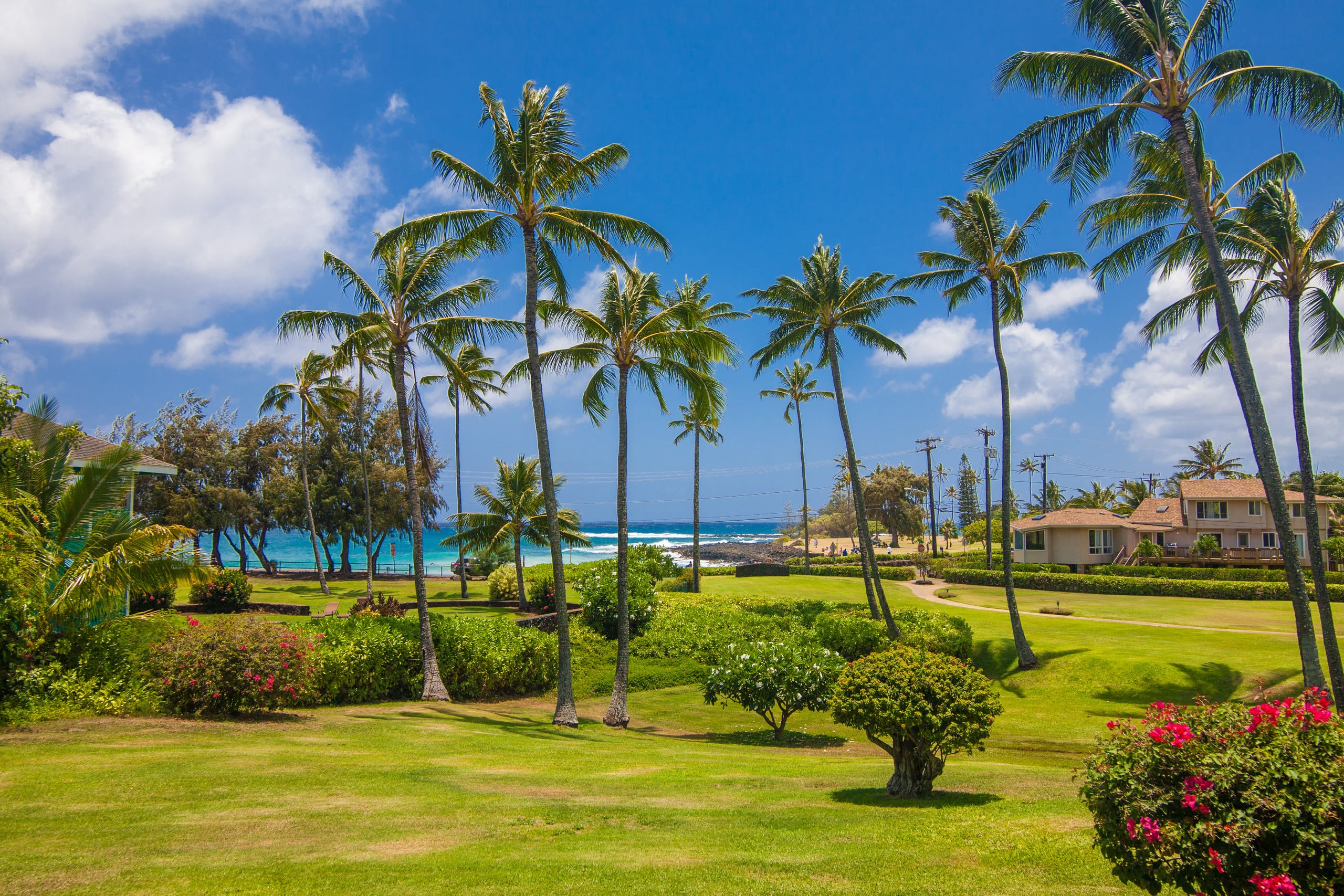 Condo in Koloa · ★4.83 · 3 bedrooms · 5 beds · 3 baths - Photo 32