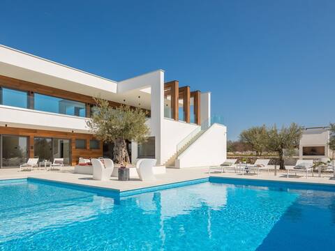 Old Olive VIII by Interhome