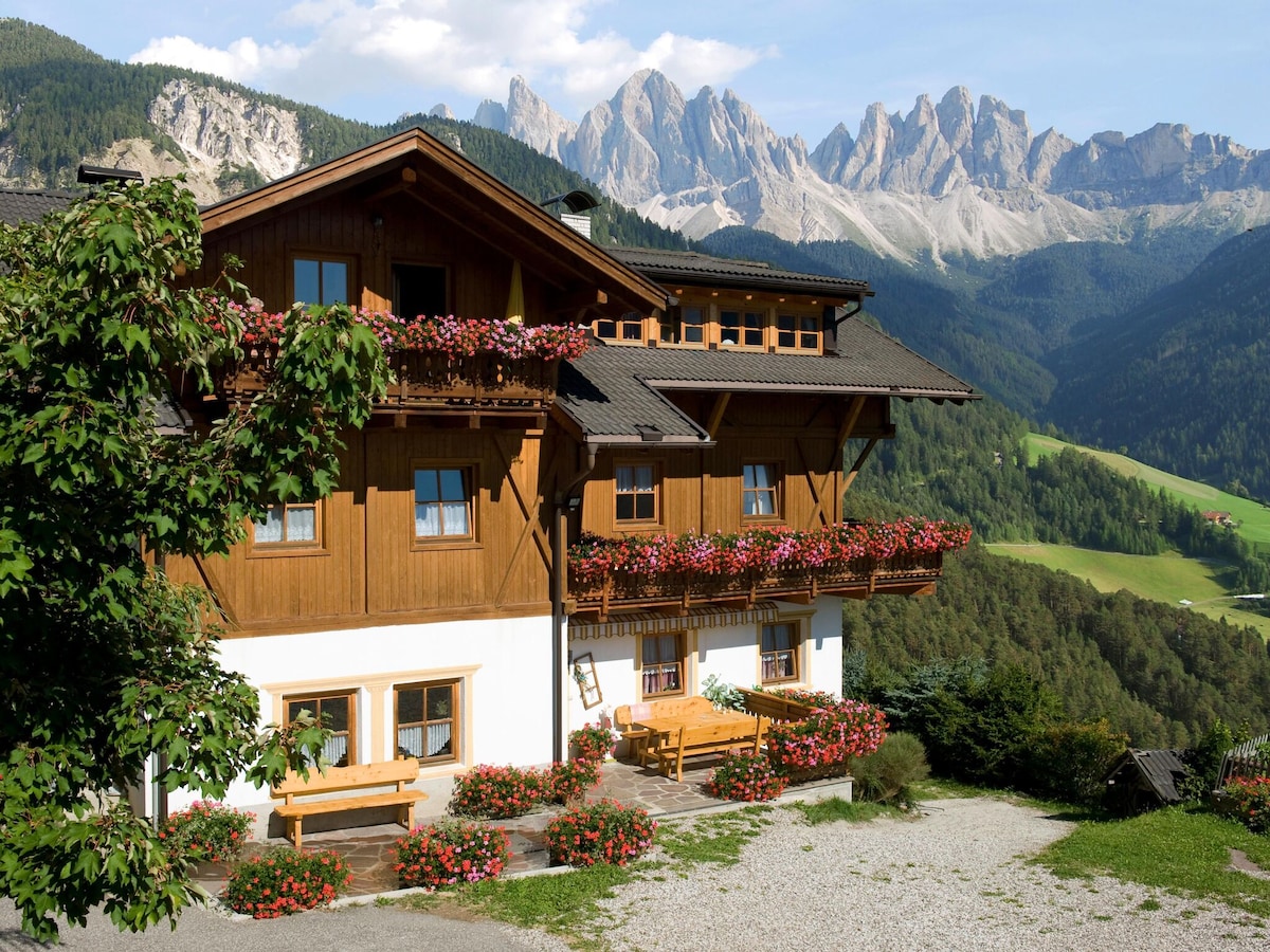A traditional alpine house features wooden architecture with flower-filled balconies. Surrounded by lush greenery and dramatic mountain peaks, the landscape offers a stunning backdrop. Benches and vibrant flowerbeds enhance the outdoor space, inviting relaxation amidst the natural beauty.