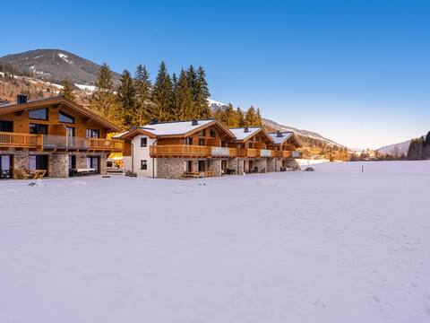 Luxury lodge with sauna near ski resorts