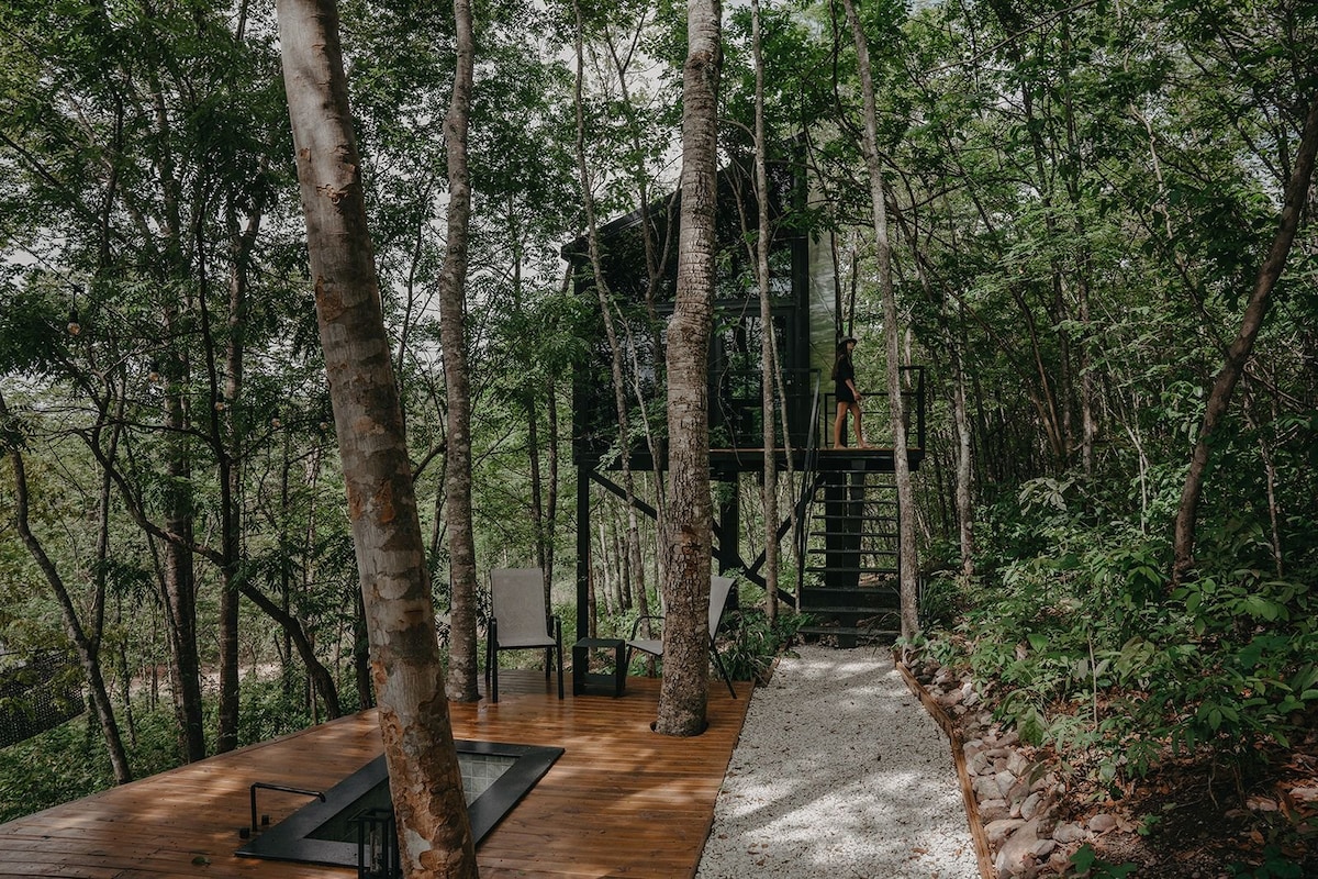 A secluded cabin elevated among trees is surrounded by lush greenery. A wooden deck with two chairs is visible, alongside a pathway made of white gravel leading towards the entrance. Stairs are seen ascending to the cabin's main level, enhancing the natural setting.