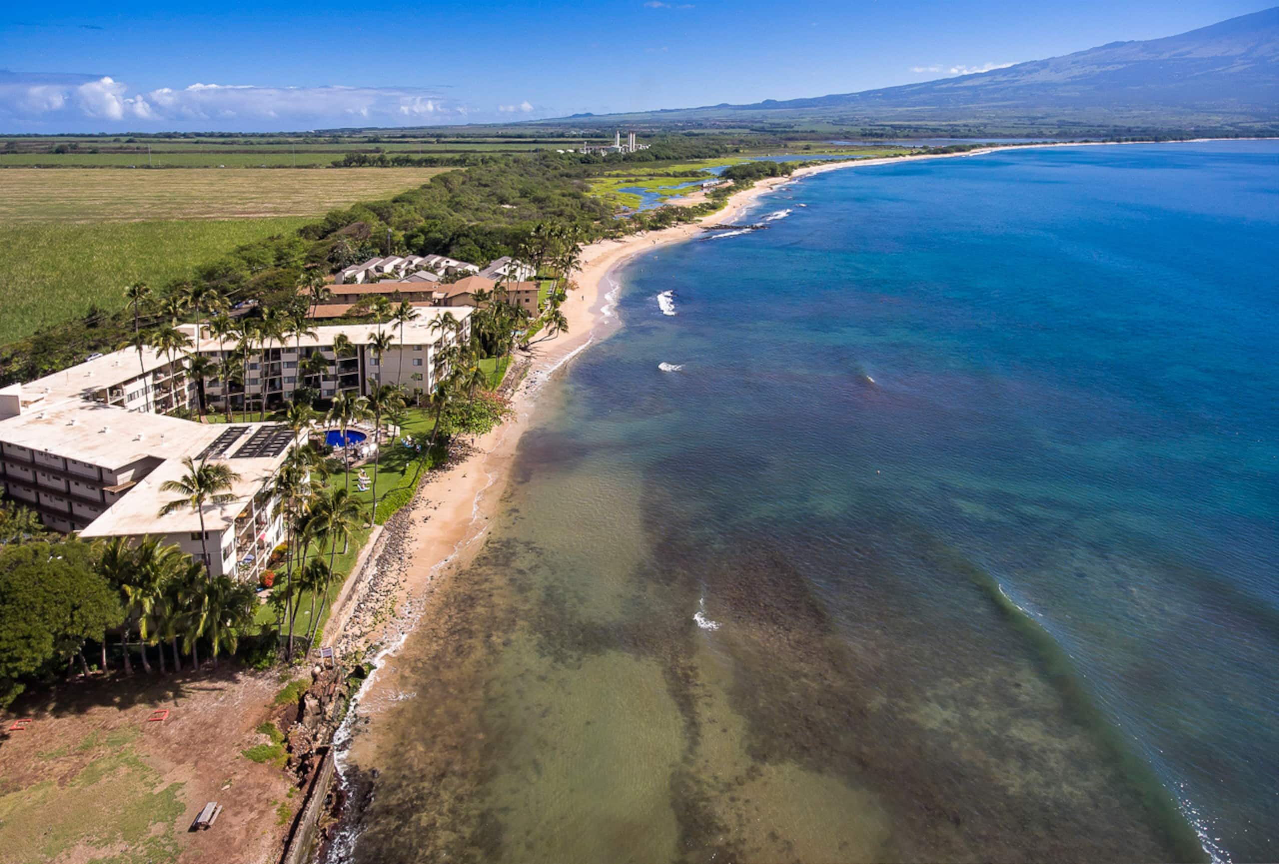 Condo in Wailuku · ★4.74 · 1 bedroom · 2 beds · 1 shared bath - Image 49