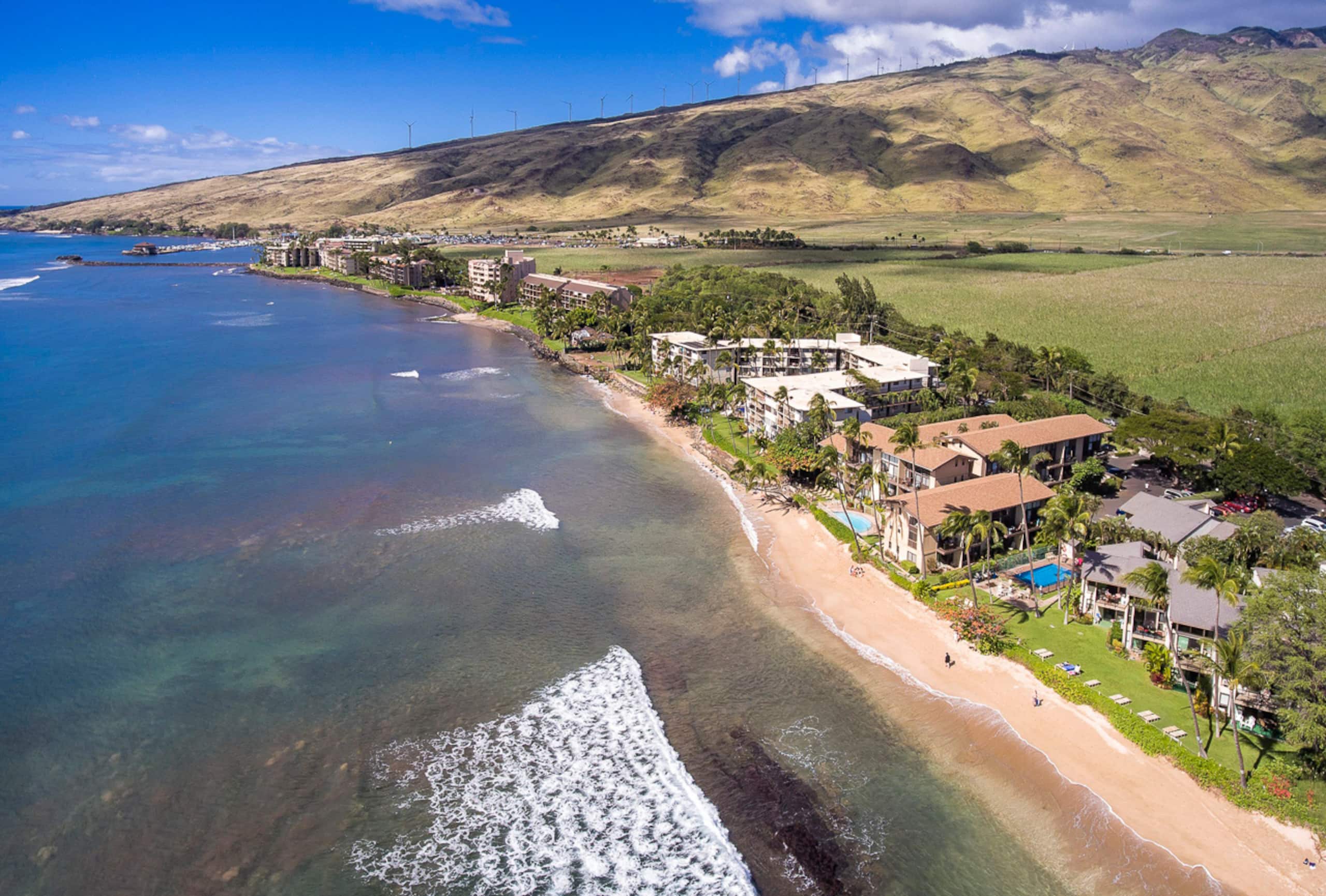Condo in Wailuku · ★4.74 · 1 bedroom · 2 beds · 1 shared bath - Image 50