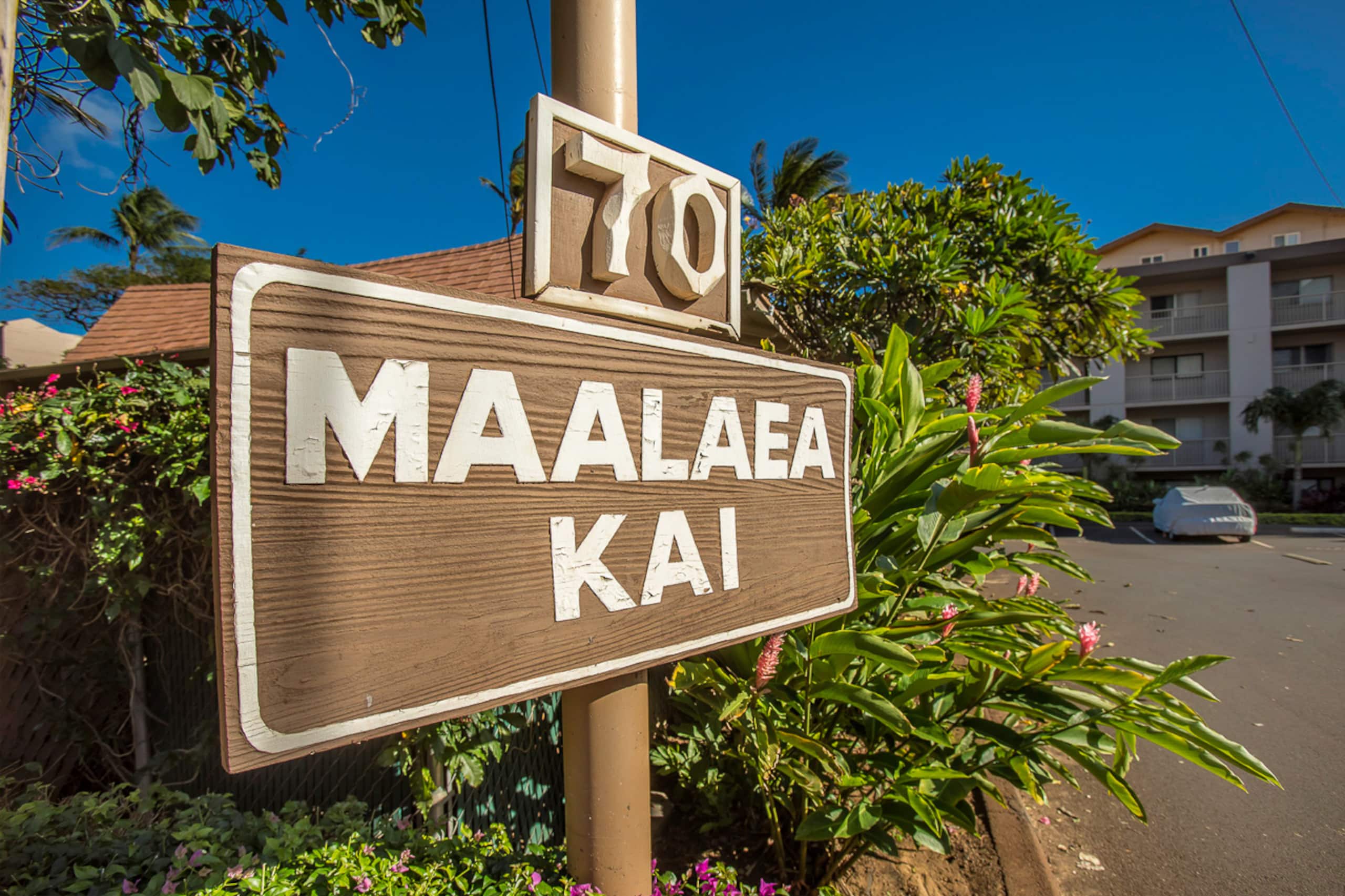 Condo in Wailuku · ★4.74 · 1 bedroom · 2 beds · 1 shared bath - Image 48