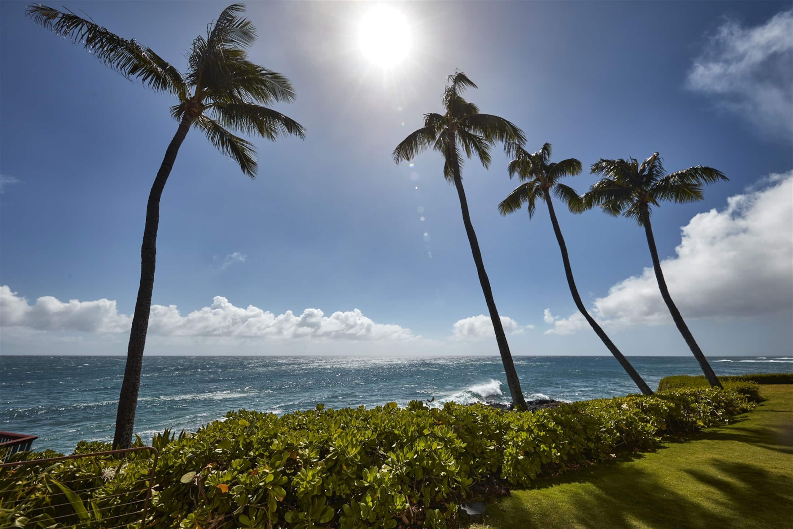 Condo in Koloa · ★4.79 · 2 bedrooms · 3 beds · 2 baths - Image 23