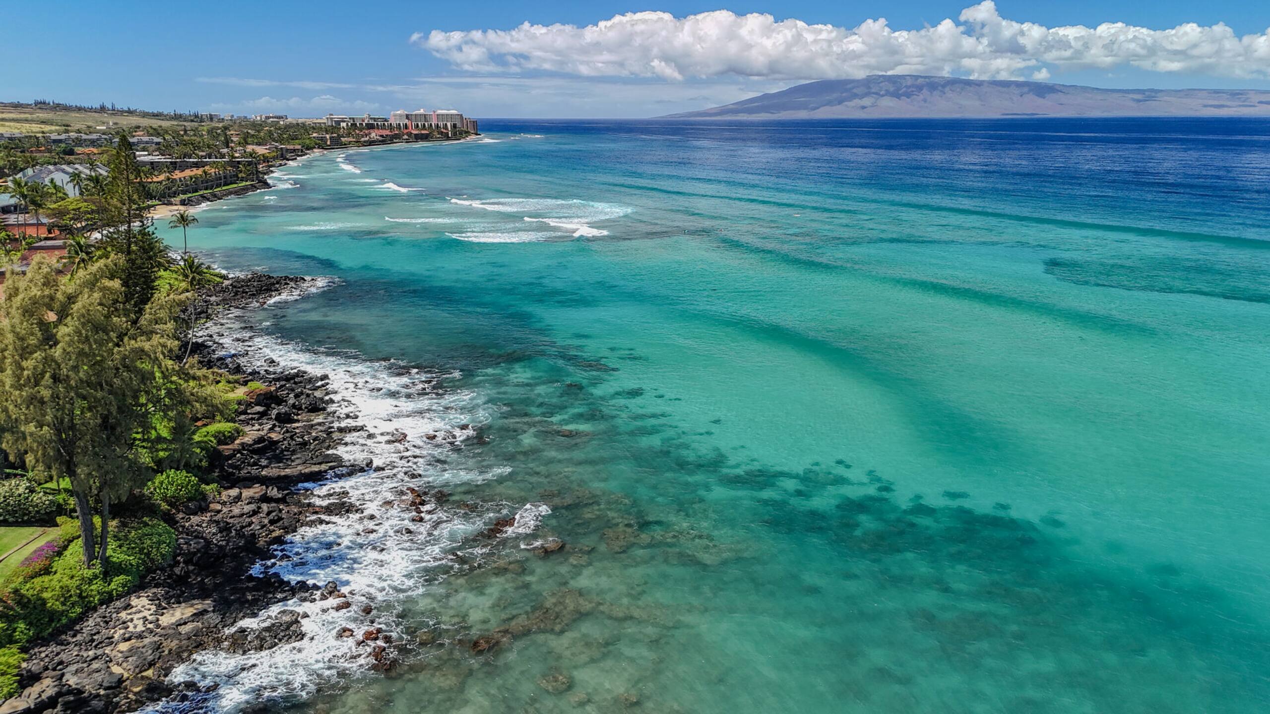 Condo in Kihei · ★4.45 · 1 bedroom · 2 beds · 1 bath - Image 32