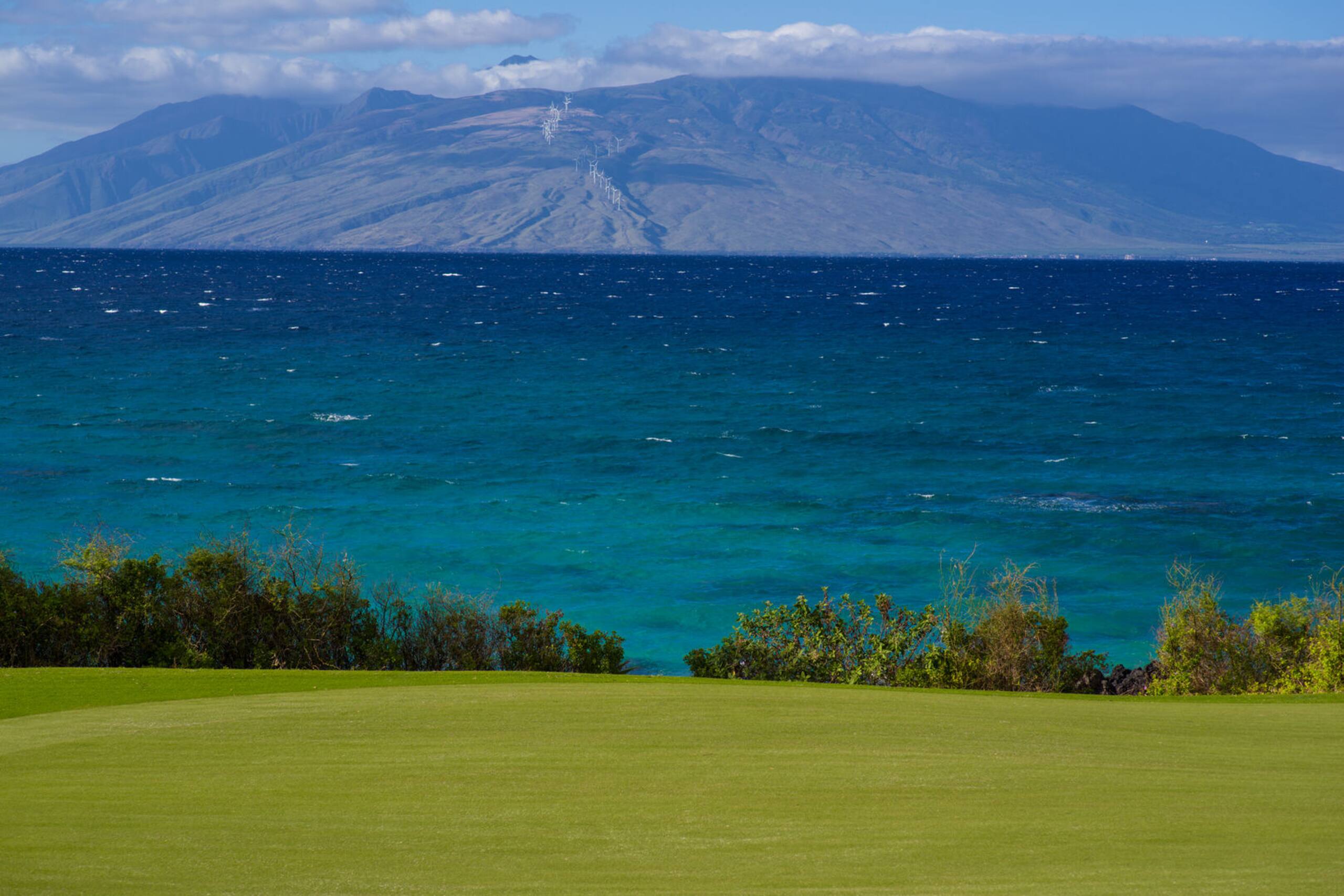 Condo in Kihei · ★4.45 · 1 bedroom · 2 beds · 1 bath - Image 36