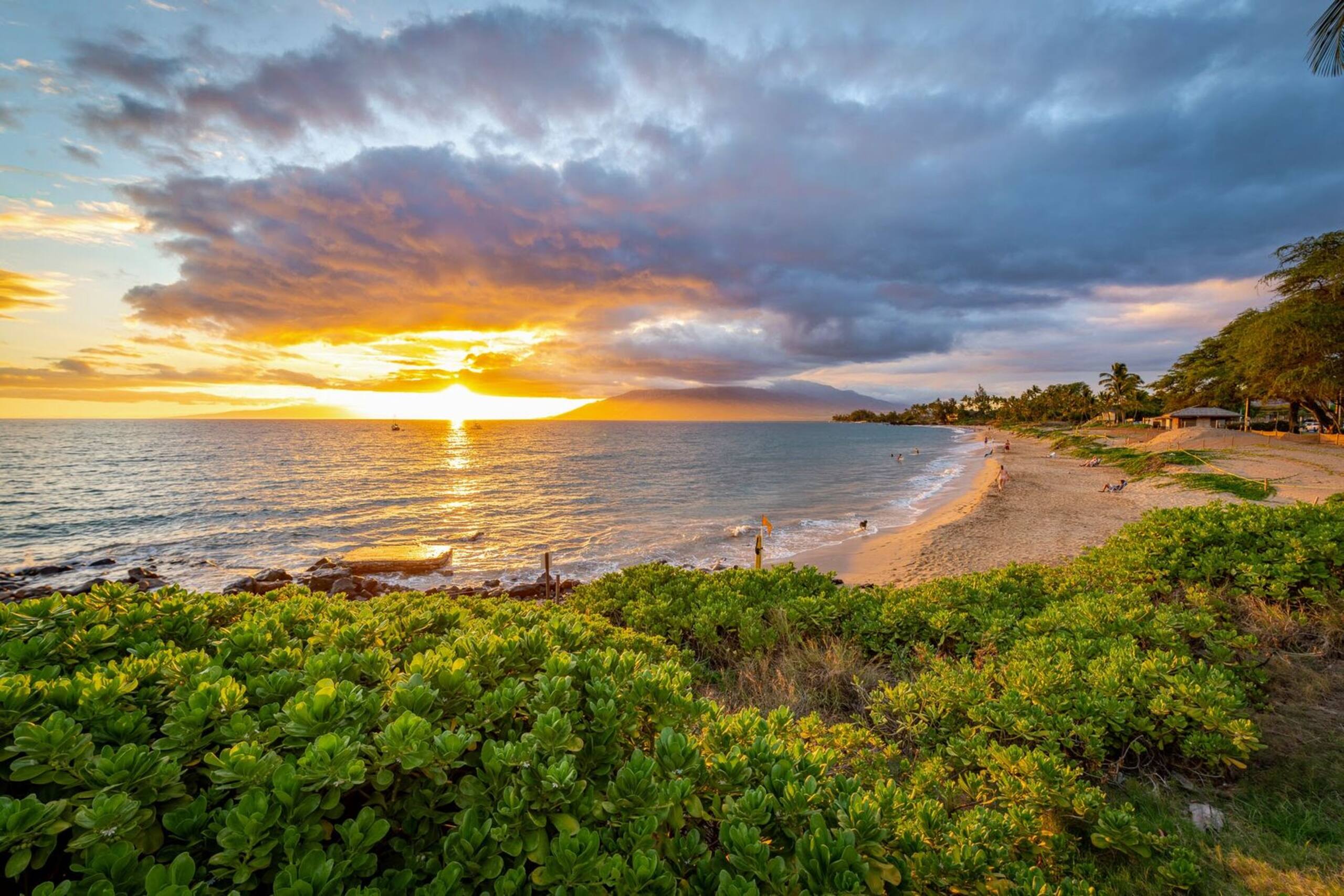 Condo in Kihei · ★4.45 · 1 bedroom · 2 beds · 1 bath - Image 34