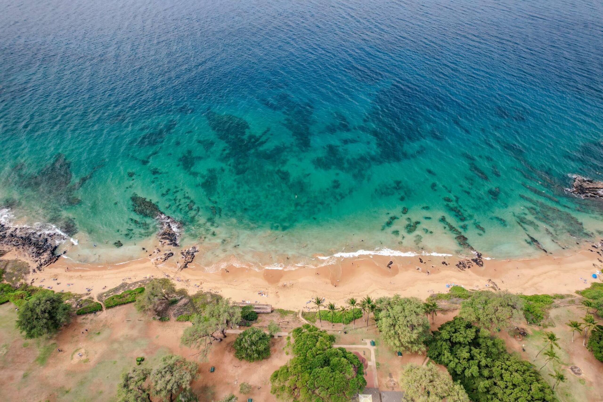 Condo in Kihei · ★4.45 · 1 bedroom · 2 beds · 1 bath - Image 33