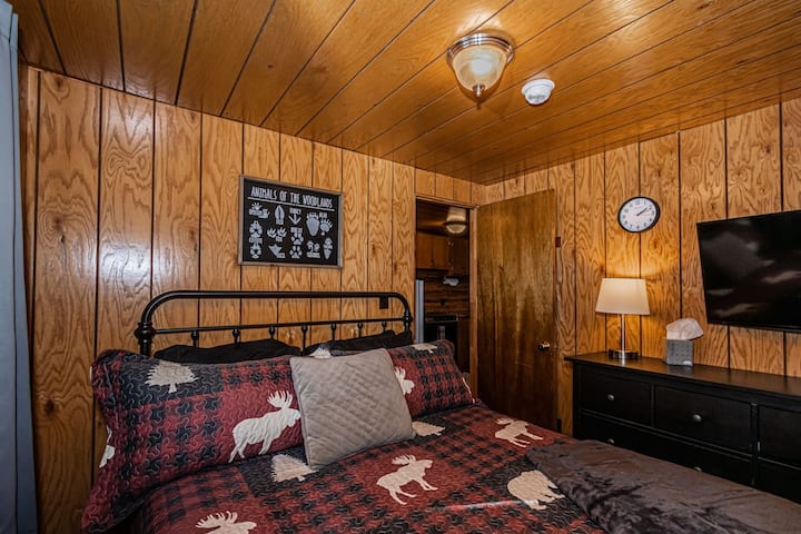 downstairs twin bedroom with ample clothing drawers, 42" tv, and Blu-ray player.