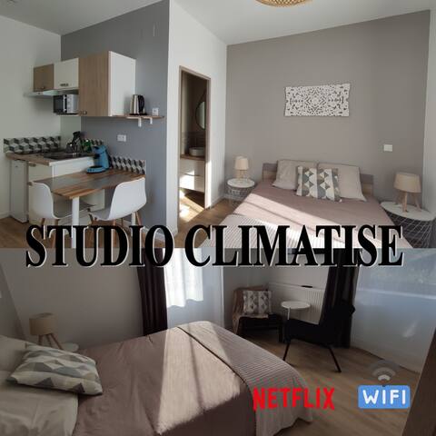 Air-conditioned and equipped studio