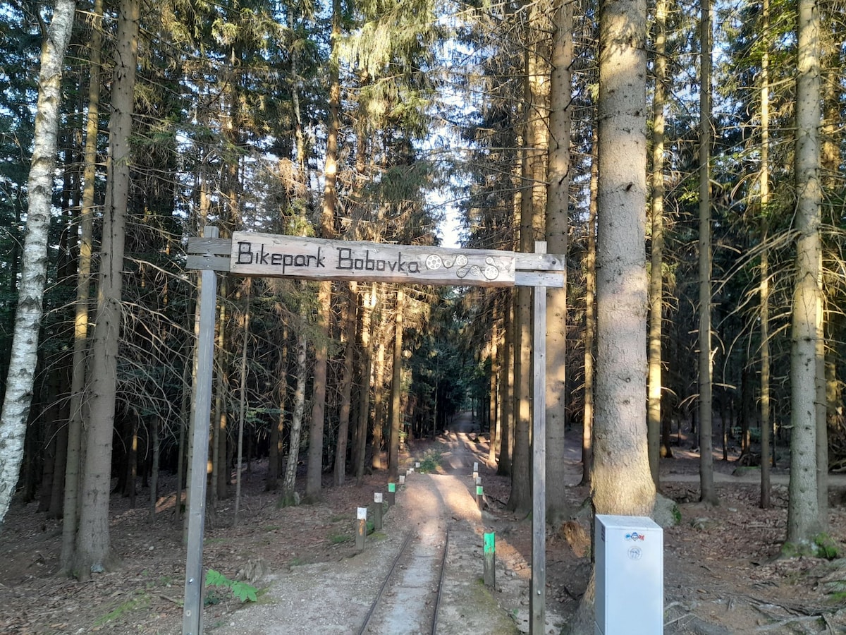 A wooden entrance sign for Bikepark Bobovka is prominently displayed at the edge of a wooded area. Tall trees frame the pathway leading into the forest, with dappled sunlight filtering through the branches, creating a serene environment for outdoor activities.