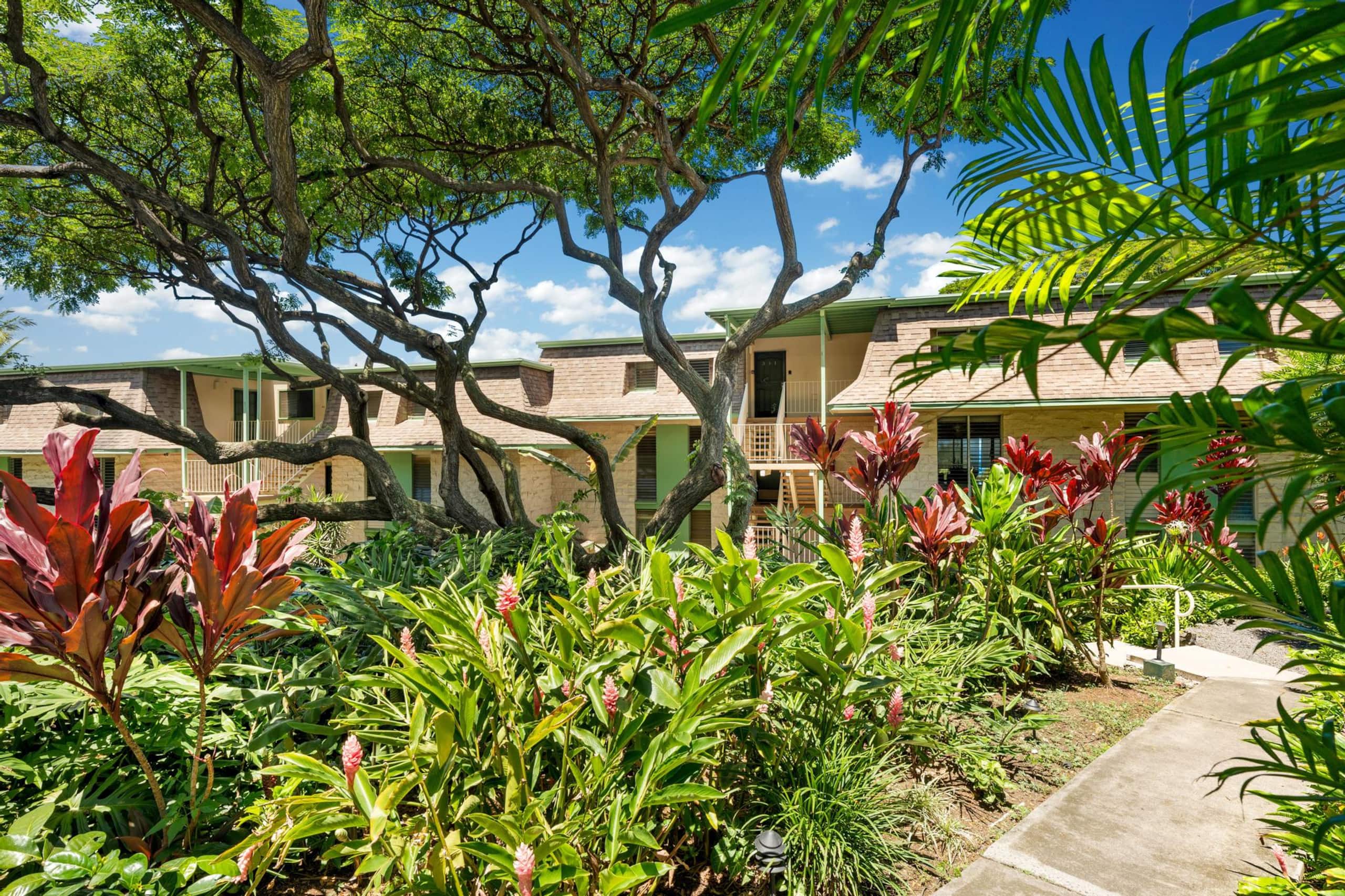 Condo in Kailua-Kona · ★4.5 · 1 bedroom · 2 beds · 2 shared baths - Image 33