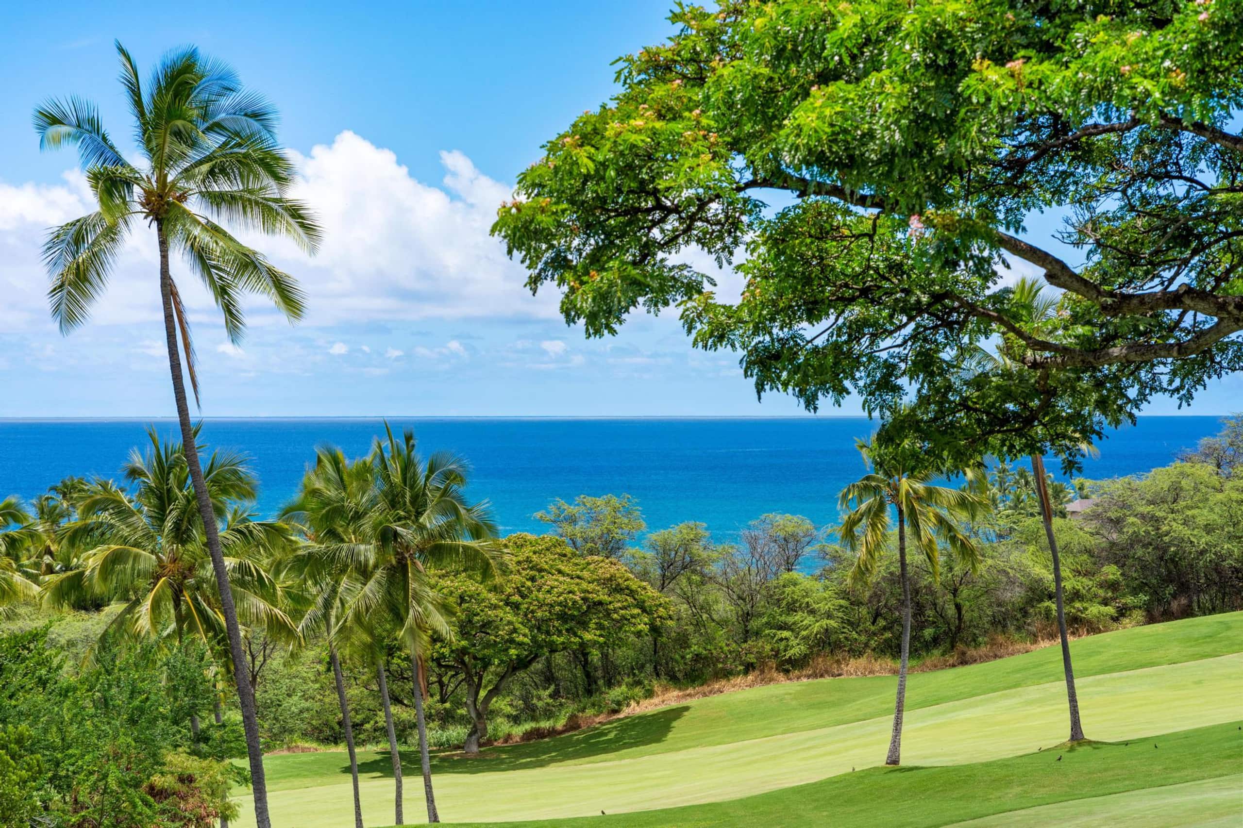 Condo in Kailua-Kona · ★4.5 · 1 bedroom · 2 beds · 2 shared baths - Image 32