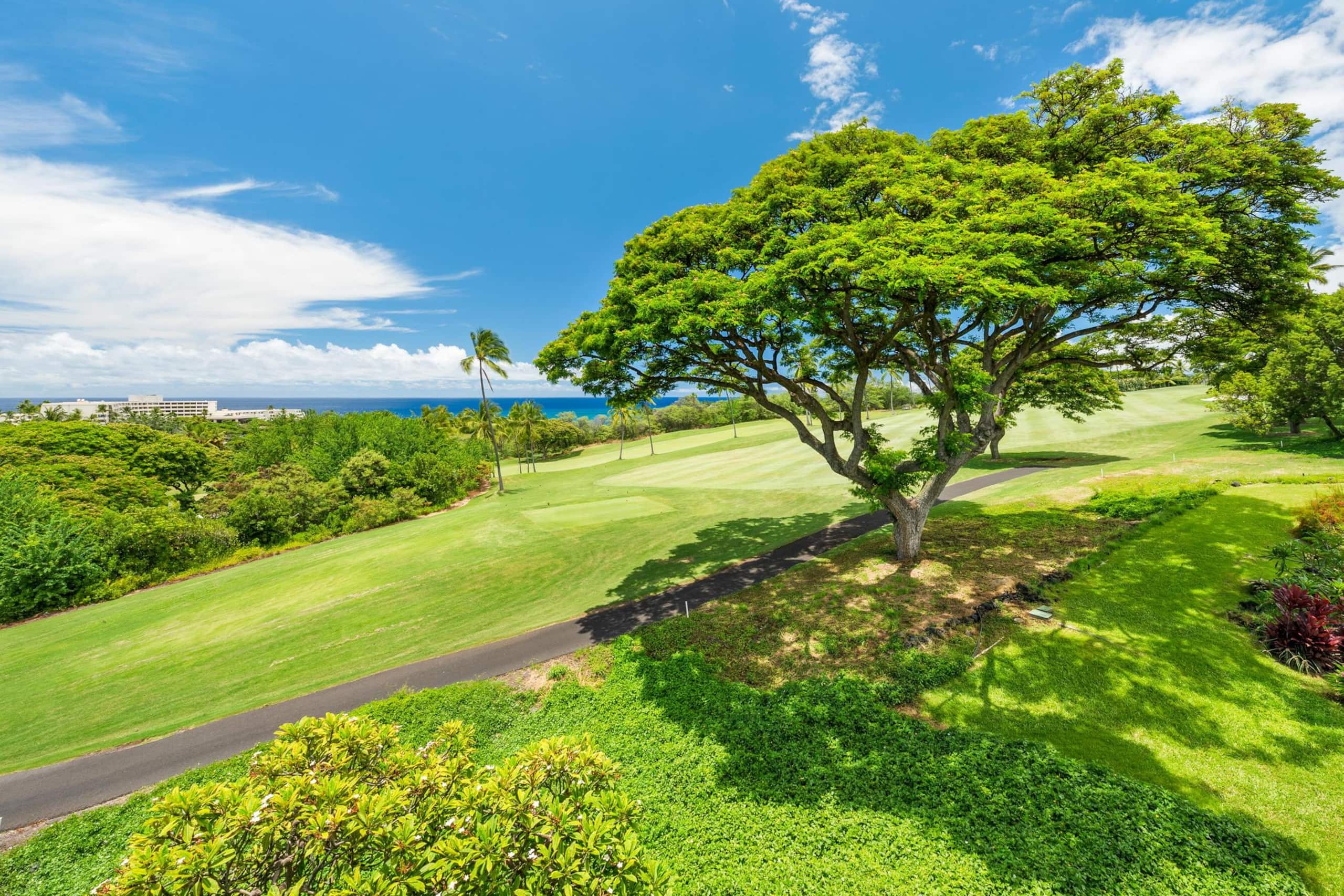 Condo in Kailua-Kona · ★4.5 · 1 bedroom · 2 beds · 2 shared baths - Image 29