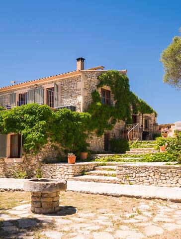 Son Reus gallery image 3