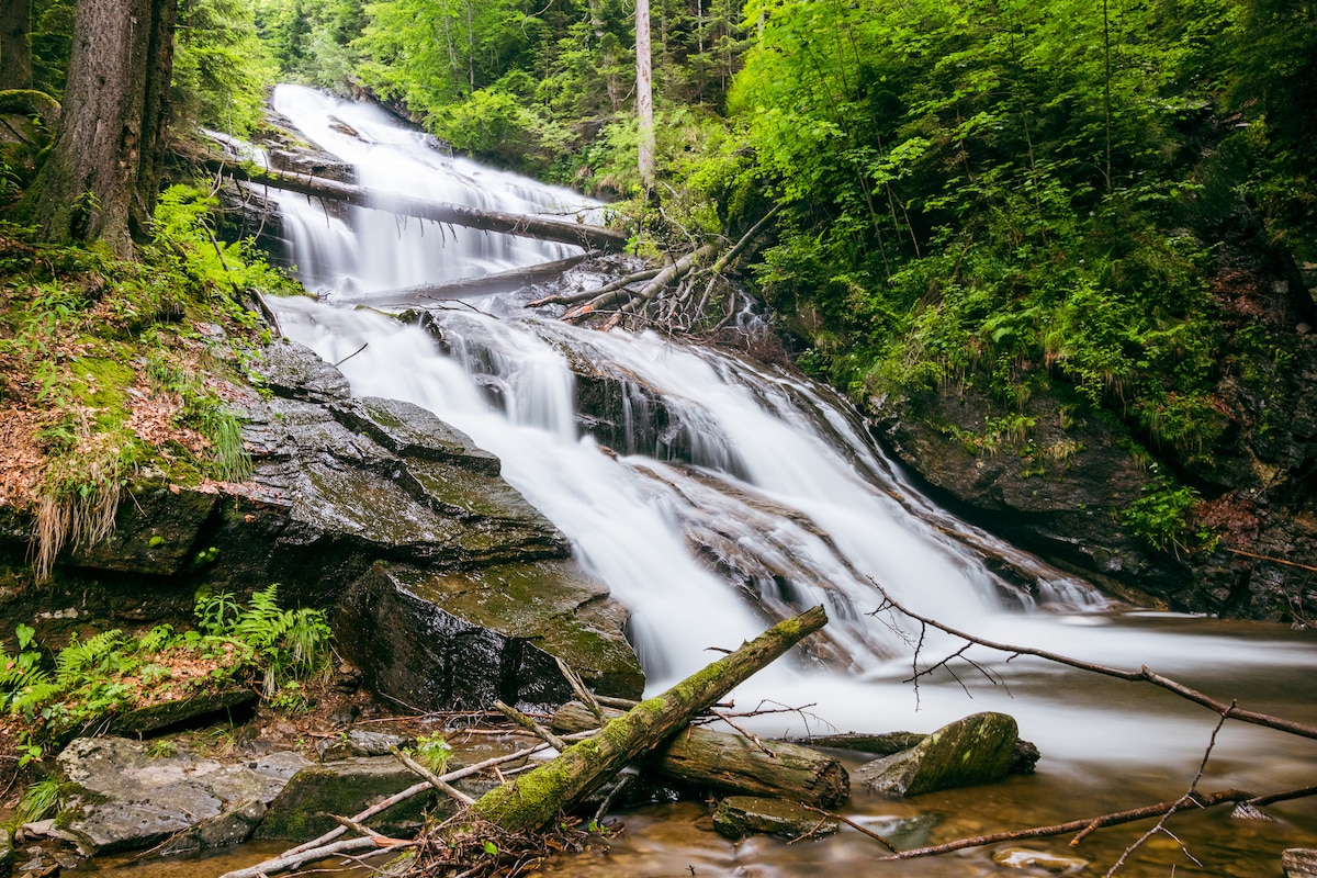 A tranquil waterfall cascades down a rocky slope, surrounded by lush green foliage. Smooth, flowing water contrasts with the rugged rocks, while fallen branches add to the natural scenery. Sunlight filters through the trees, creating a serene atmosphere in this forested area.