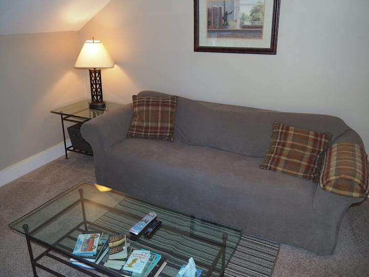 The Cute & Cozy - Upper Apt. - Great Location! - Michigan