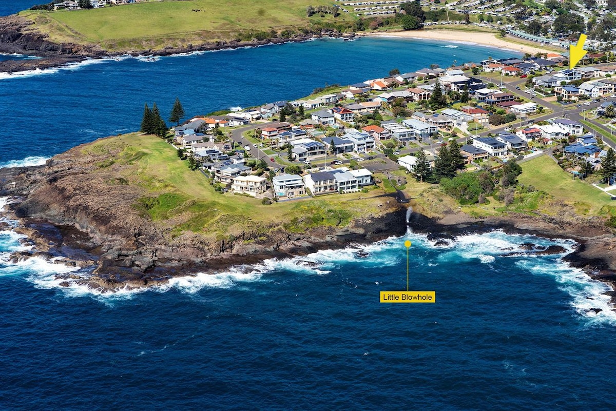 The Blue Whale, Kiama