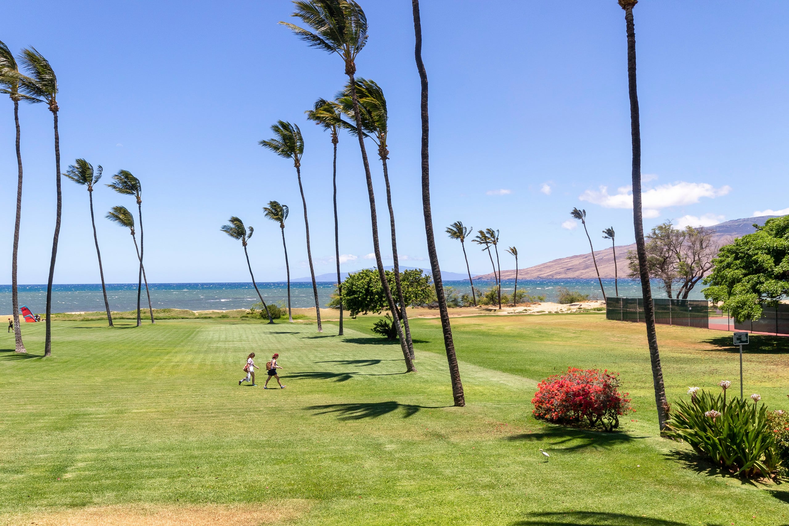 Condo in Kihei · ★5.0 · 1 bedroom · 2 beds · 1 private bath - Image 24