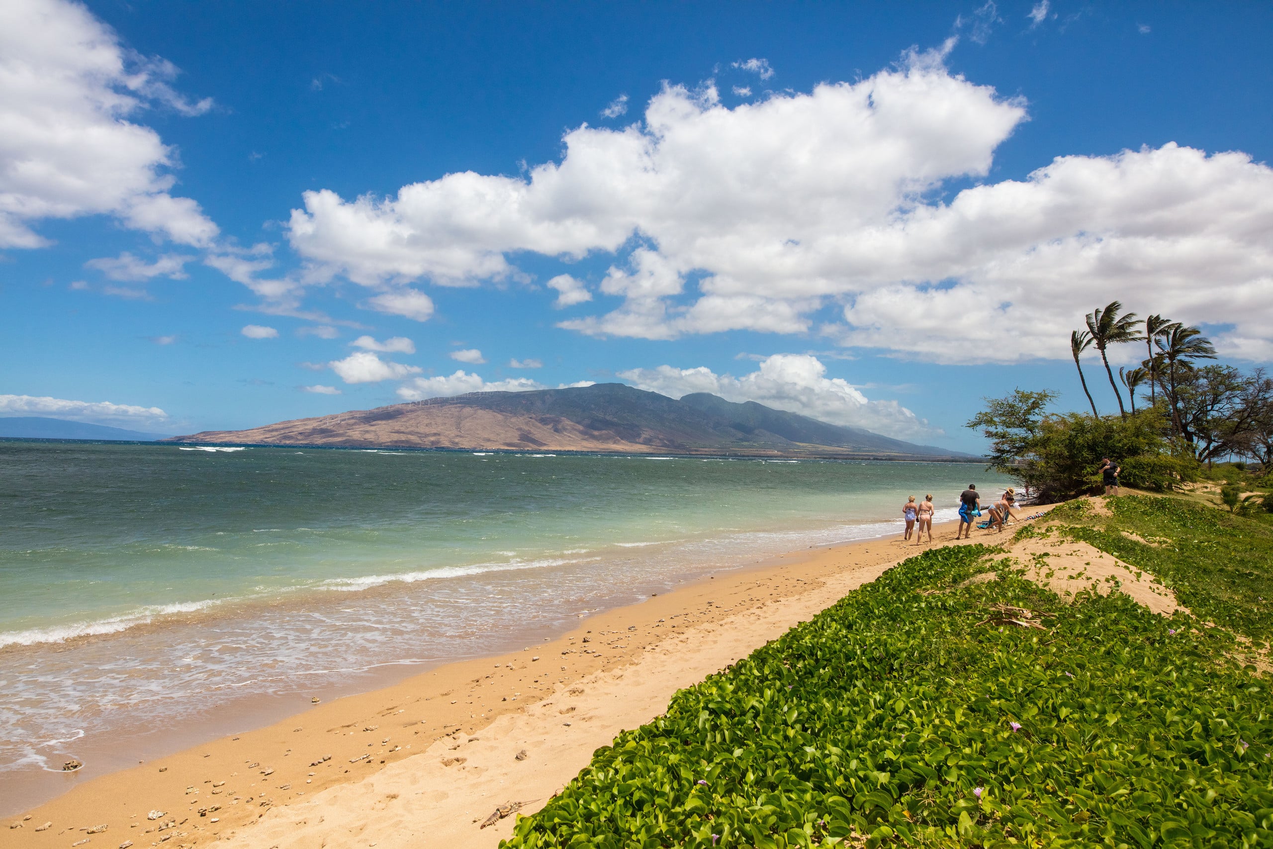 Condo in Kihei · ★5.0 · 1 bedroom · 2 beds · 1 private bath - Image 33