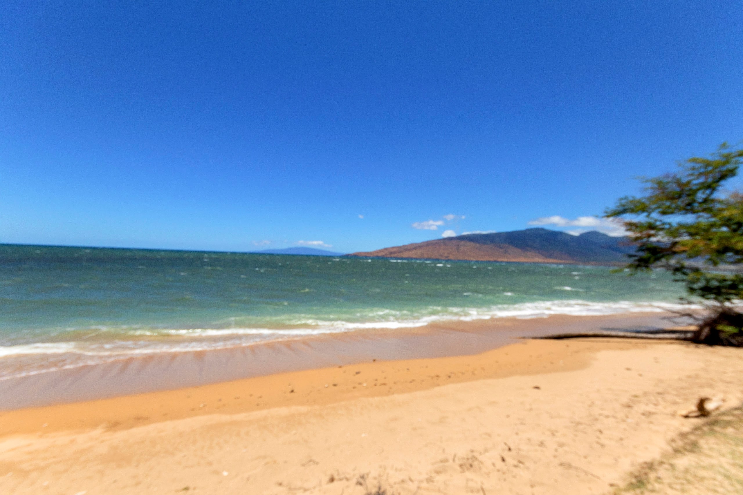 Condo in Kihei · ★5.0 · 1 bedroom · 2 beds · 1 private bath - Image 27