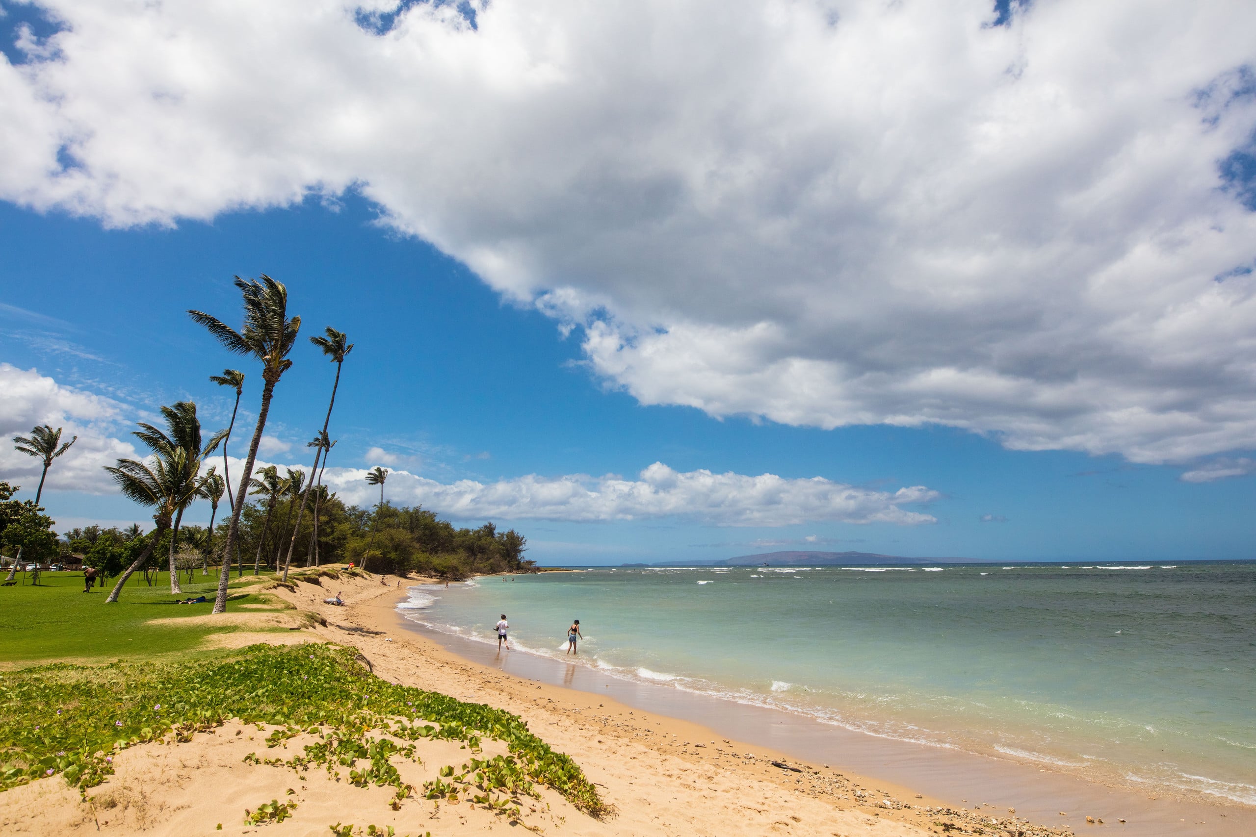 Condo in Kihei · ★5.0 · 1 bedroom · 2 beds · 1 private bath - Image 32