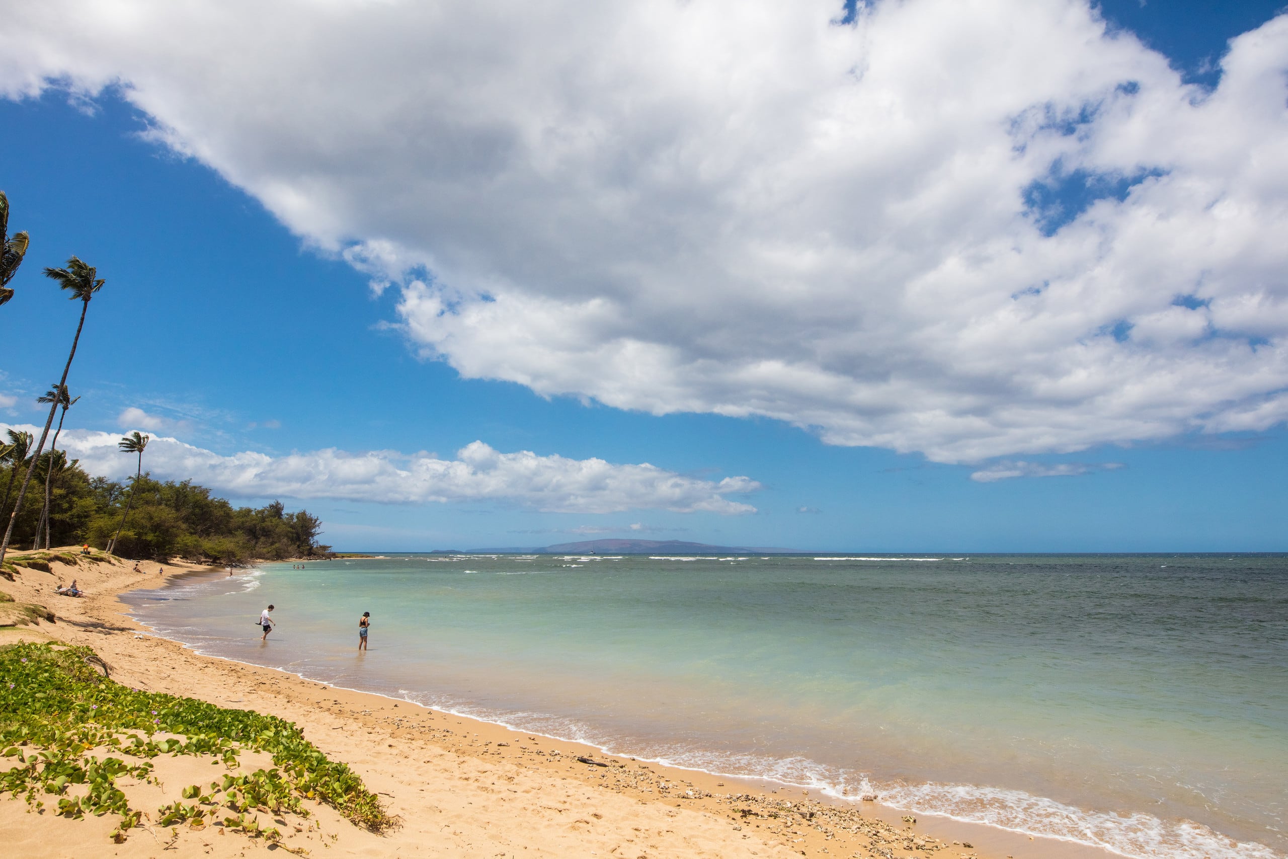 Condo in Kihei · ★5.0 · 1 bedroom · 2 beds · 1 private bath - Image 30