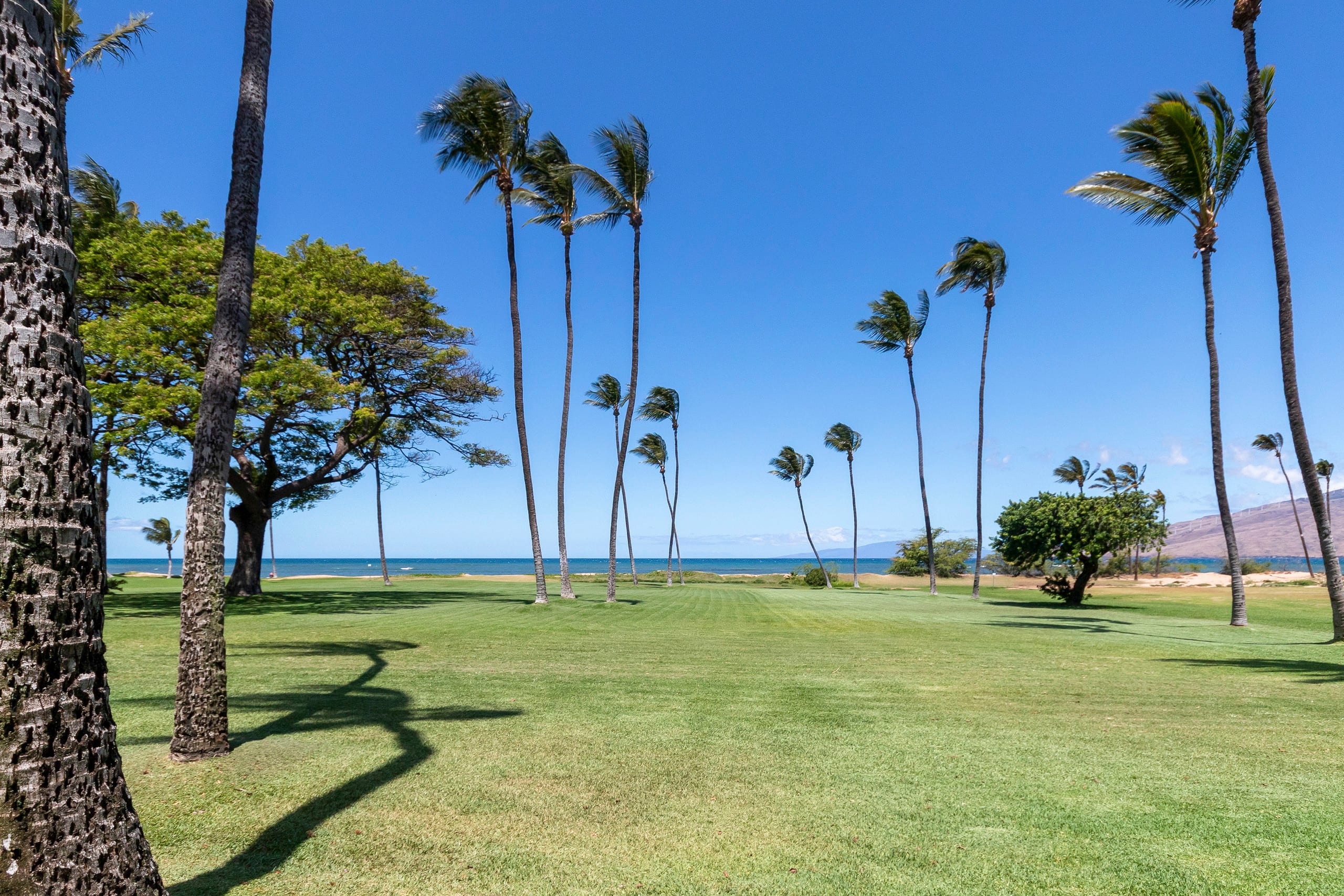 Condo in Kihei · ★5.0 · 1 bedroom · 2 beds · 1 private bath - Image 28