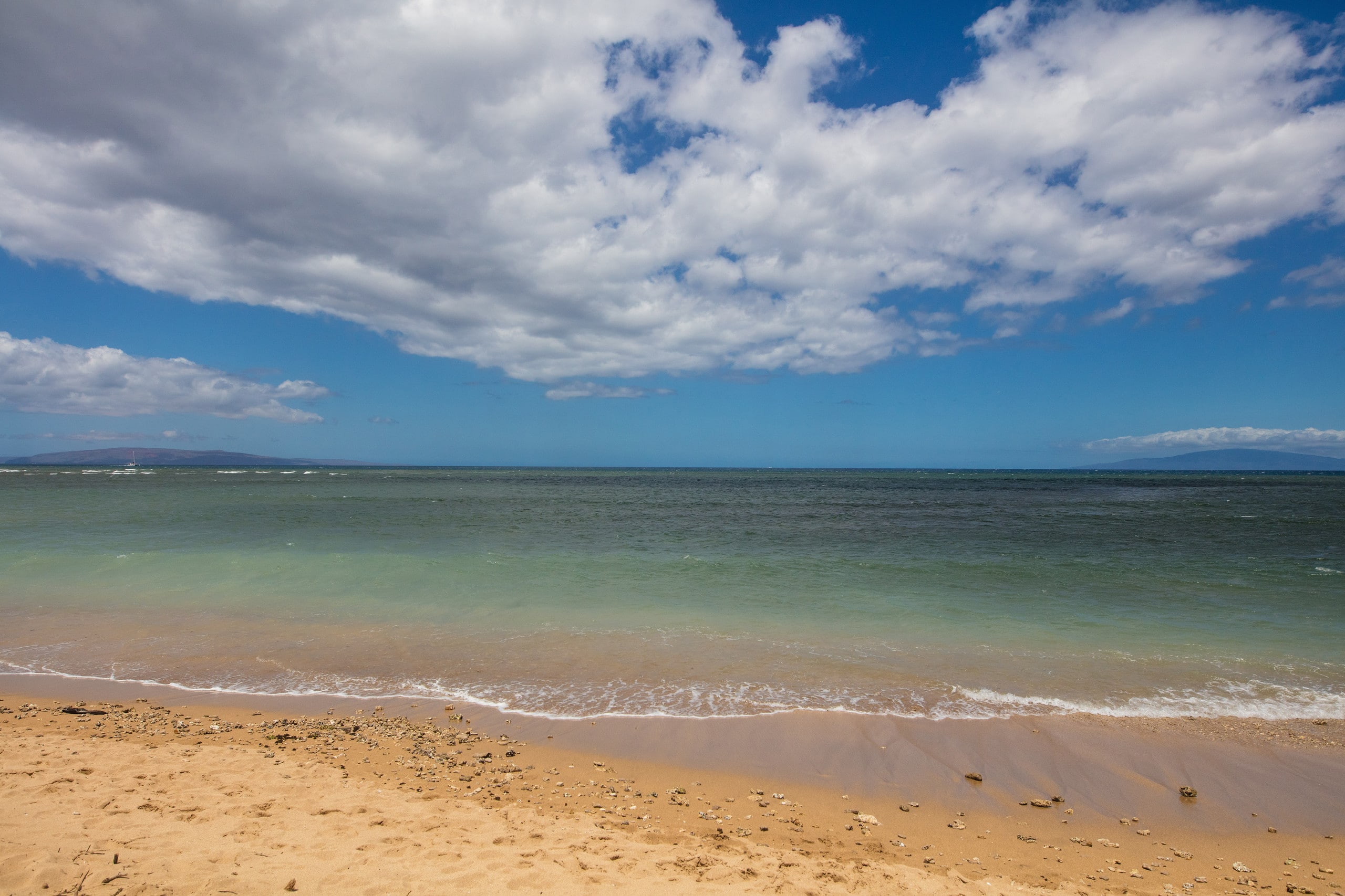 Condo in Kihei · ★5.0 · 1 bedroom · 2 beds · 1 private bath - Image 31
