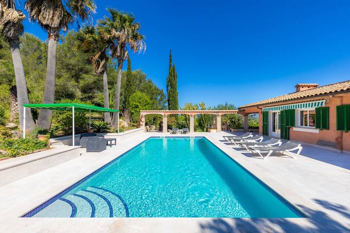 Santa María gallery image 2