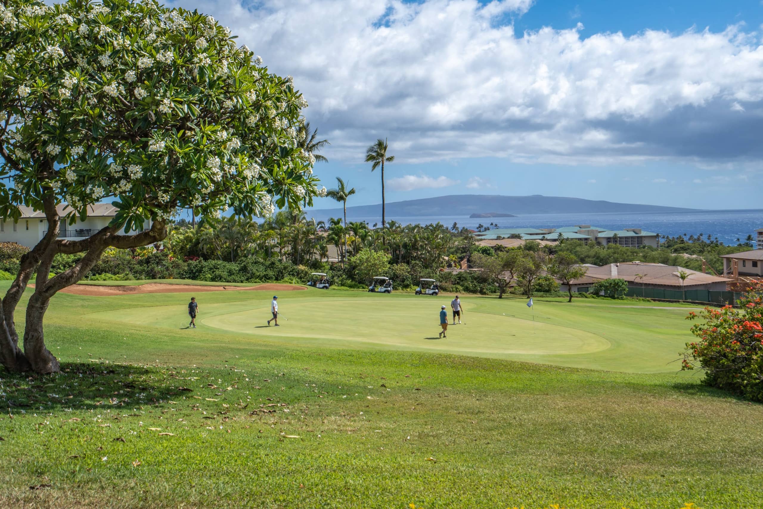 Condo in Kihei · ★4.95 · 1 bedroom · 2 beds · 2 baths - Image 70