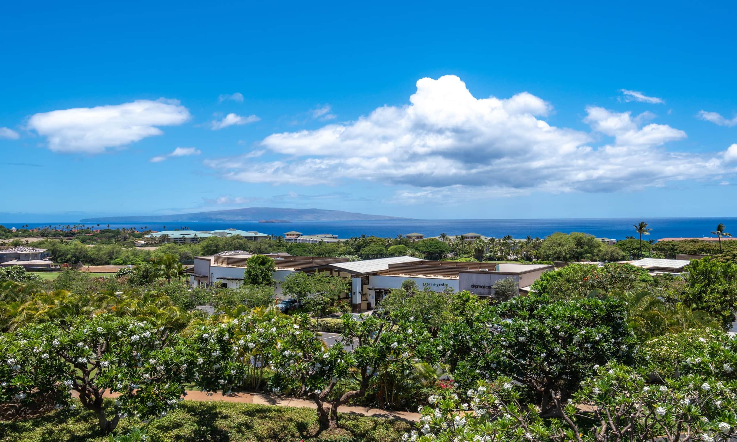 Condo in Kihei · ★4.95 · 1 bedroom · 2 beds · 2 baths - Image 72
