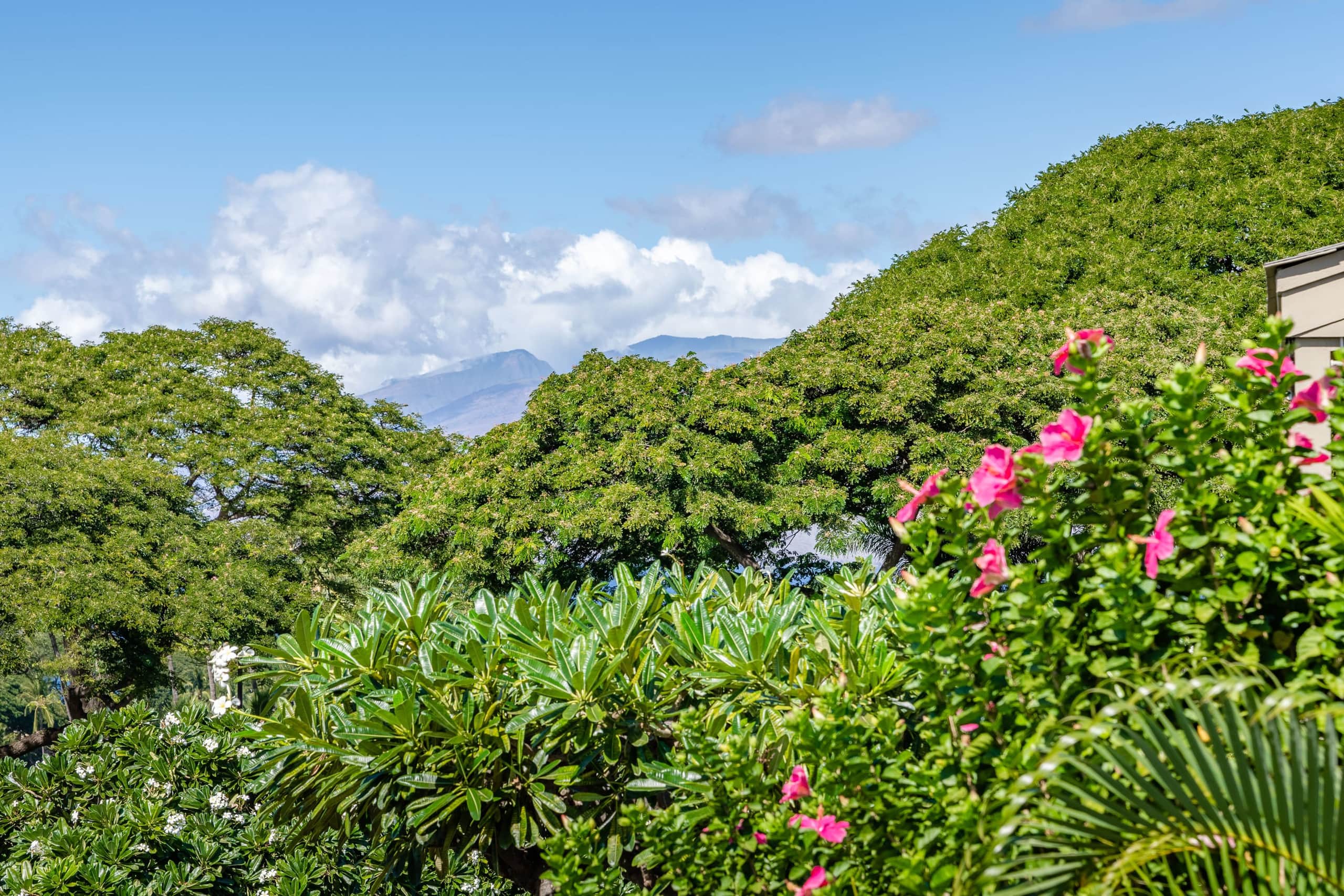 Condo in Kihei · ★4.95 · 1 bedroom · 2 beds · 2 baths - Image 26