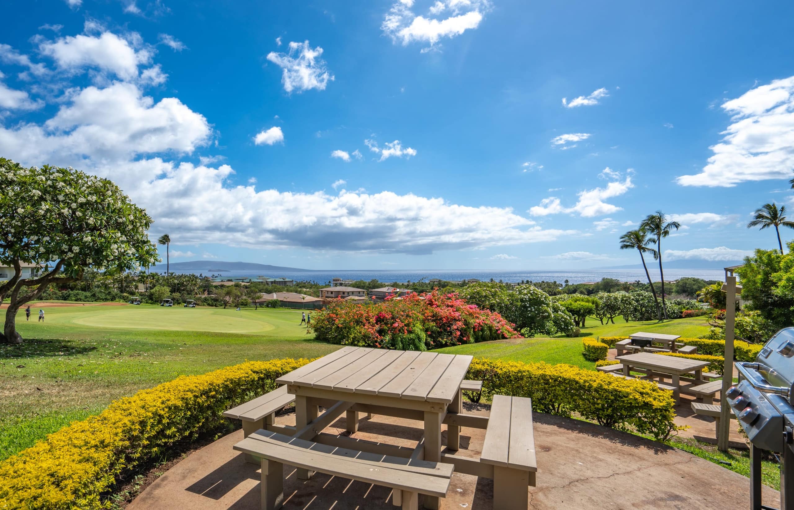 Condo in Kihei · ★4.95 · 1 bedroom · 2 beds · 2 baths - Image 69