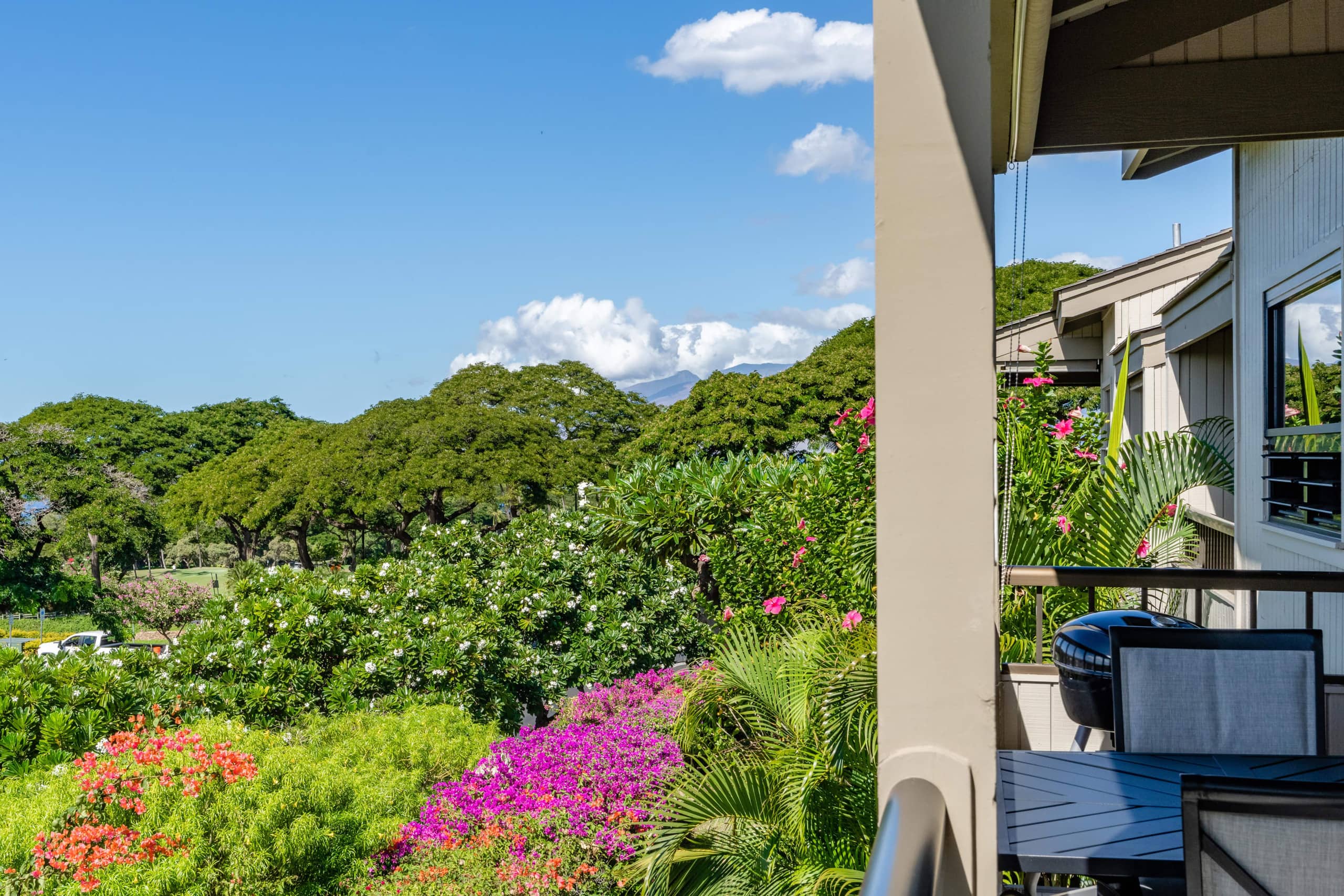 Condo in Kihei · ★4.95 · 1 bedroom · 2 beds · 2 baths - Image 23