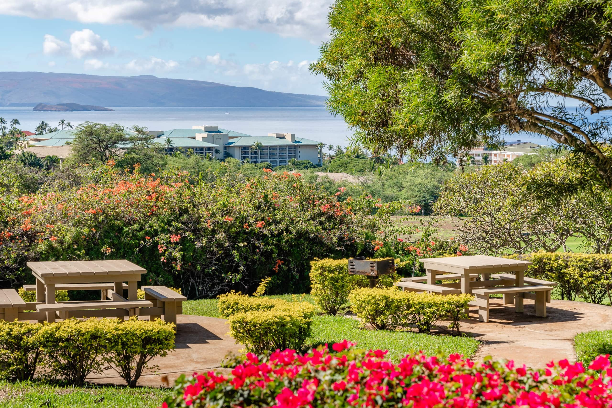 Condo in Kihei · ★4.95 · 1 bedroom · 2 beds · 2 baths - Image 31