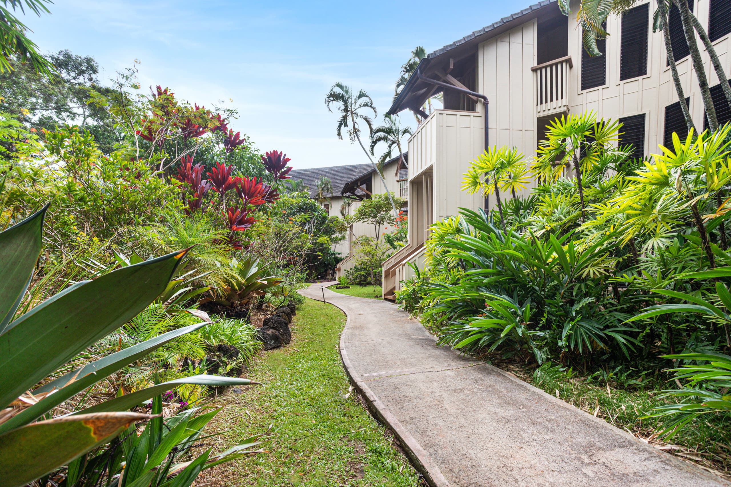 Condo in Koloa · ★4.67 · 1 bedroom · 2 beds · 1 private bath - Image 3