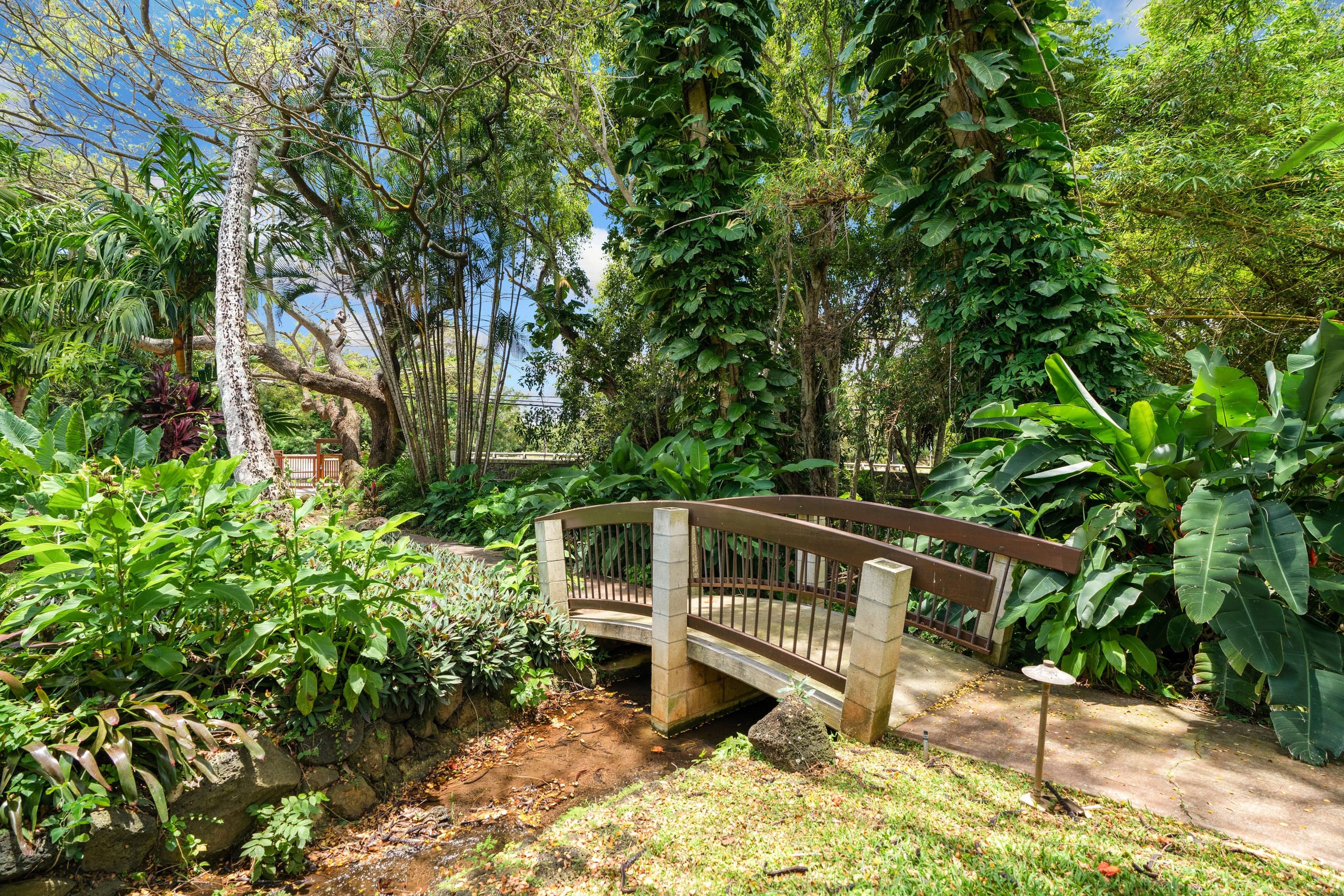 Condo in Koloa · ★4.67 · 1 bedroom · 2 beds · 1 private bath - Image 4