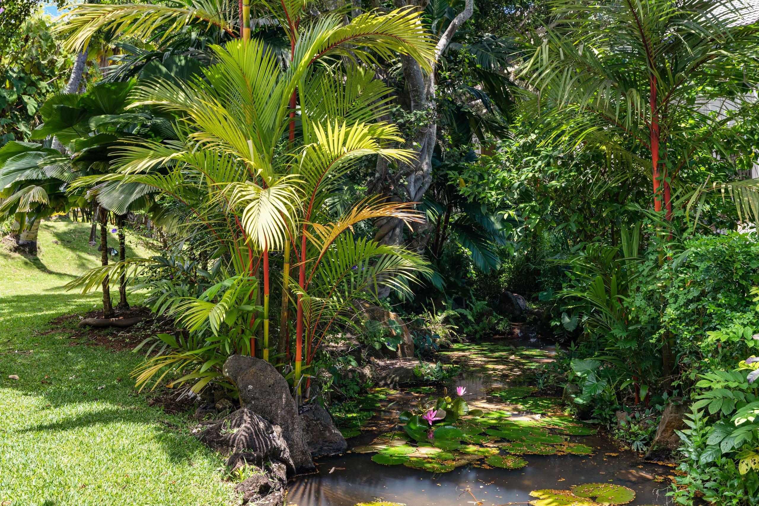 Condo in Koloa · ★4.67 · 1 bedroom · 2 beds · 1 private bath - Image 5