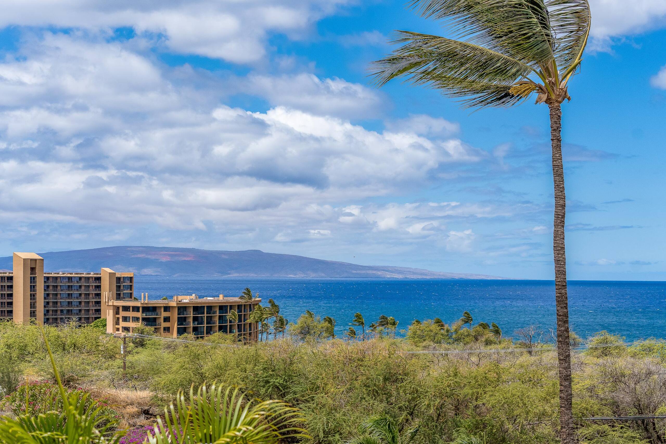 Condo in Kihei · ★4.88 · 2 bedrooms · 2 beds · 2 baths - Image 14