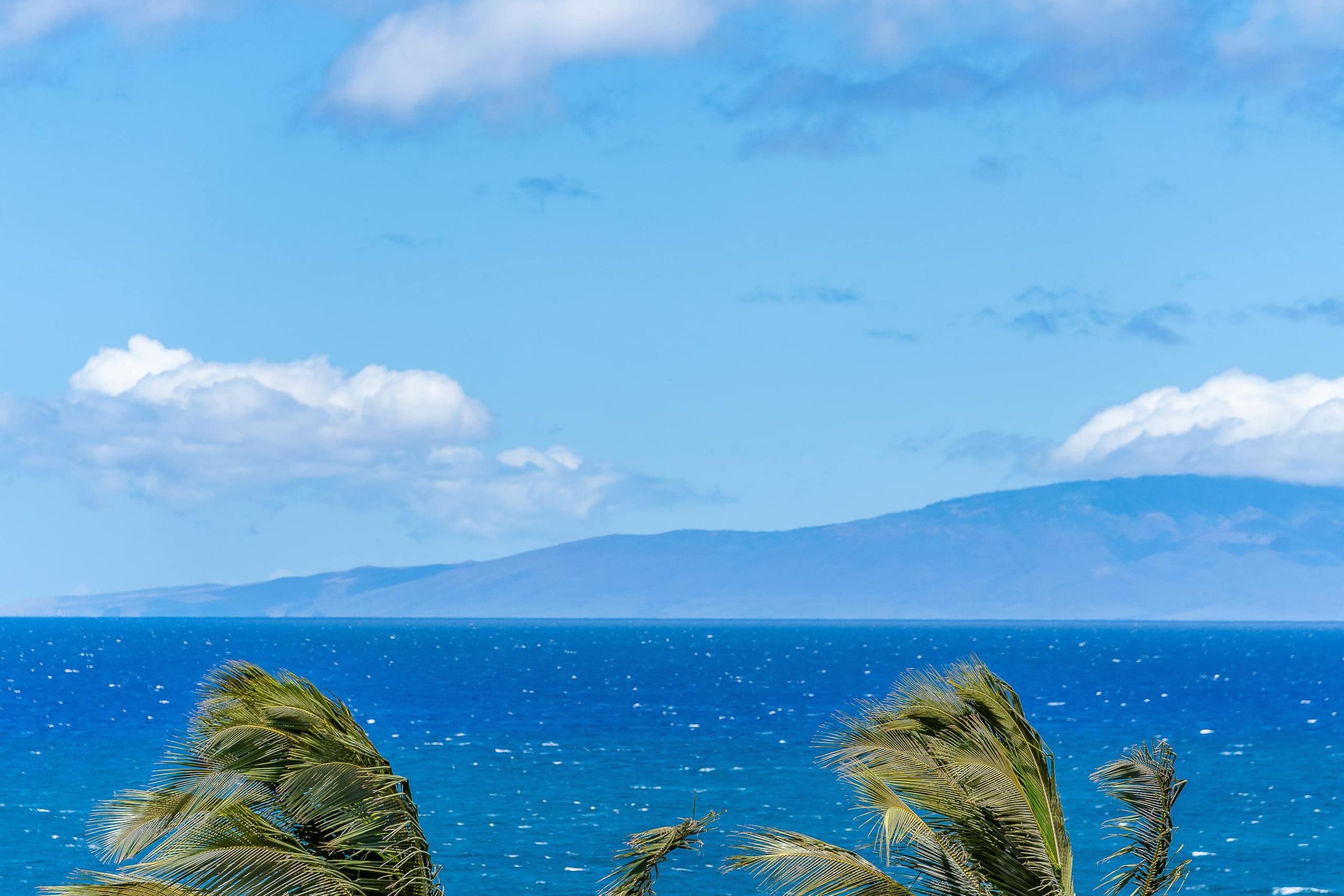 Condo in Kihei · ★4.88 · 2 bedrooms · 2 beds · 2 baths - Image 38