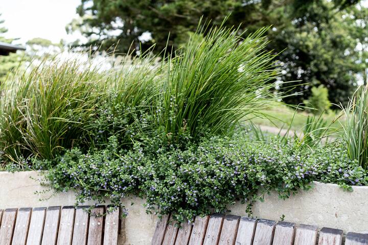 Cottage Three – Maleny Country Estate gallery image 5