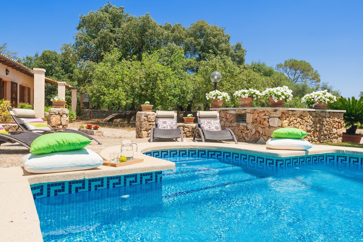 A refreshing outdoor pool is framed by comfortable lounge chairs adorned with pillows. Surrounding plants and flowers provide a natural touch, while a stone wall adds texture to the setting. Sunlight reflects off the clear water, creating an inviting atmosphere for relaxation.