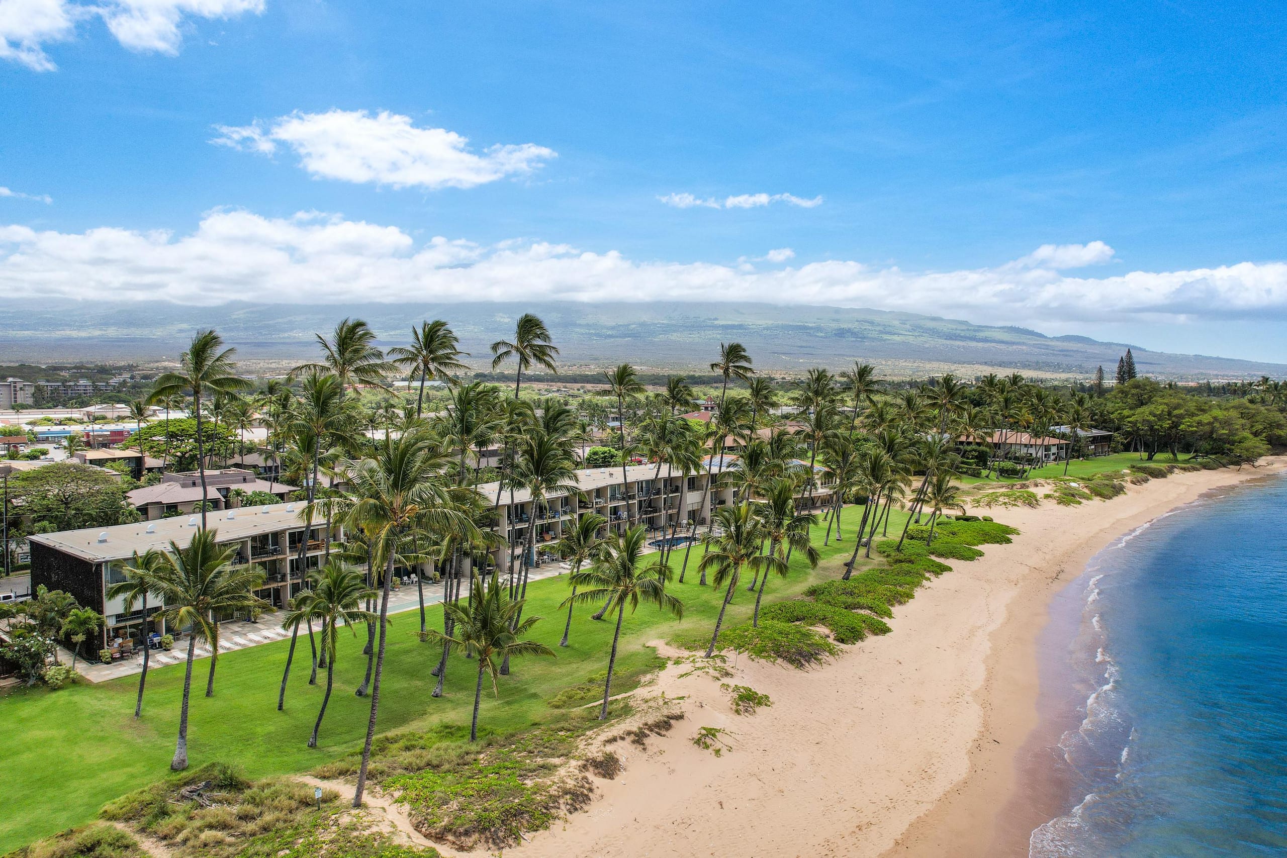 Condo in Kihei · ★4.96 · 1 bedroom · 2 beds · 1 private bath - Image 14
