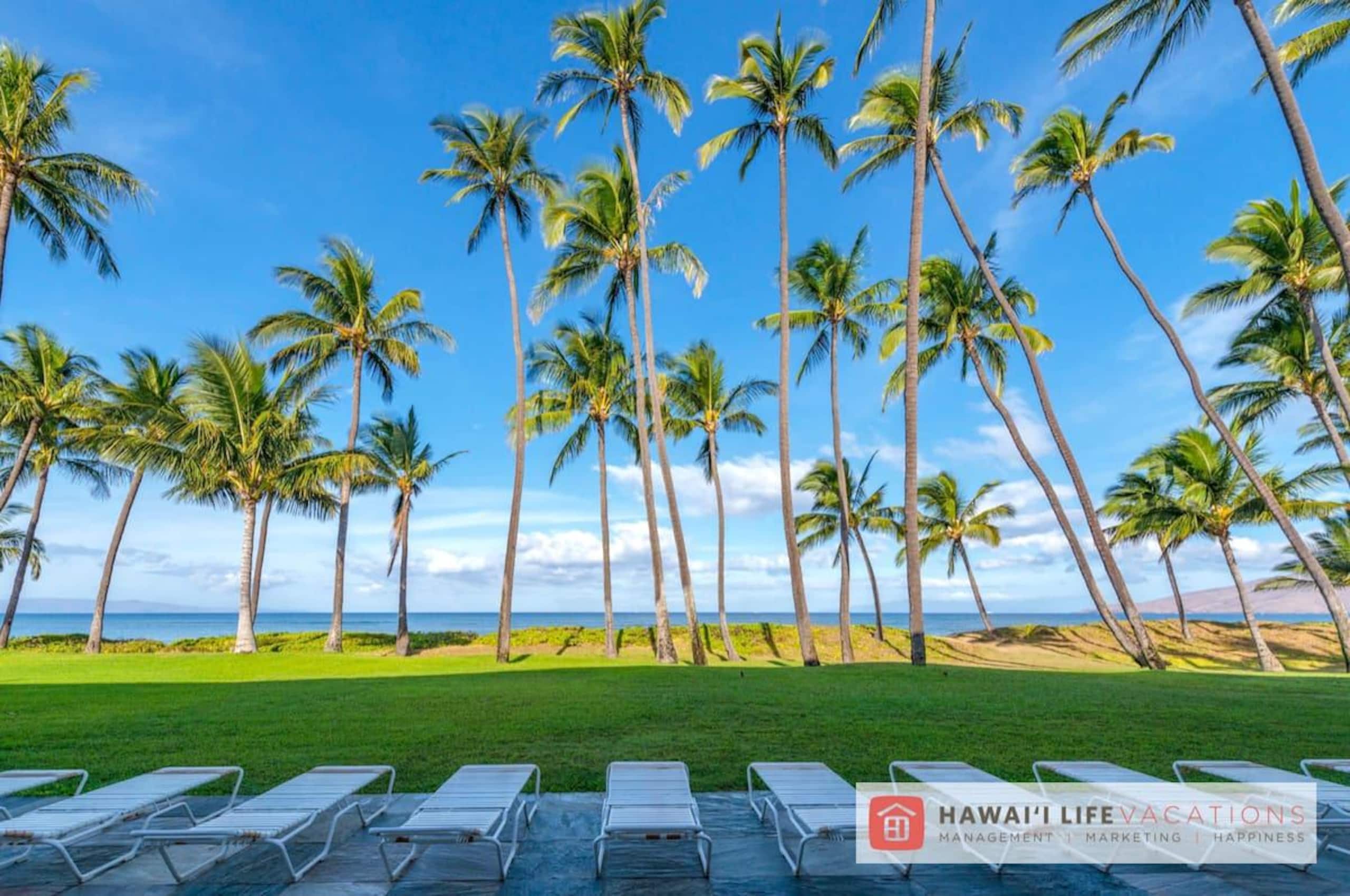 Condo in Kihei · ★4.96 · 1 bedroom · 2 beds · 1 private bath - Image 12